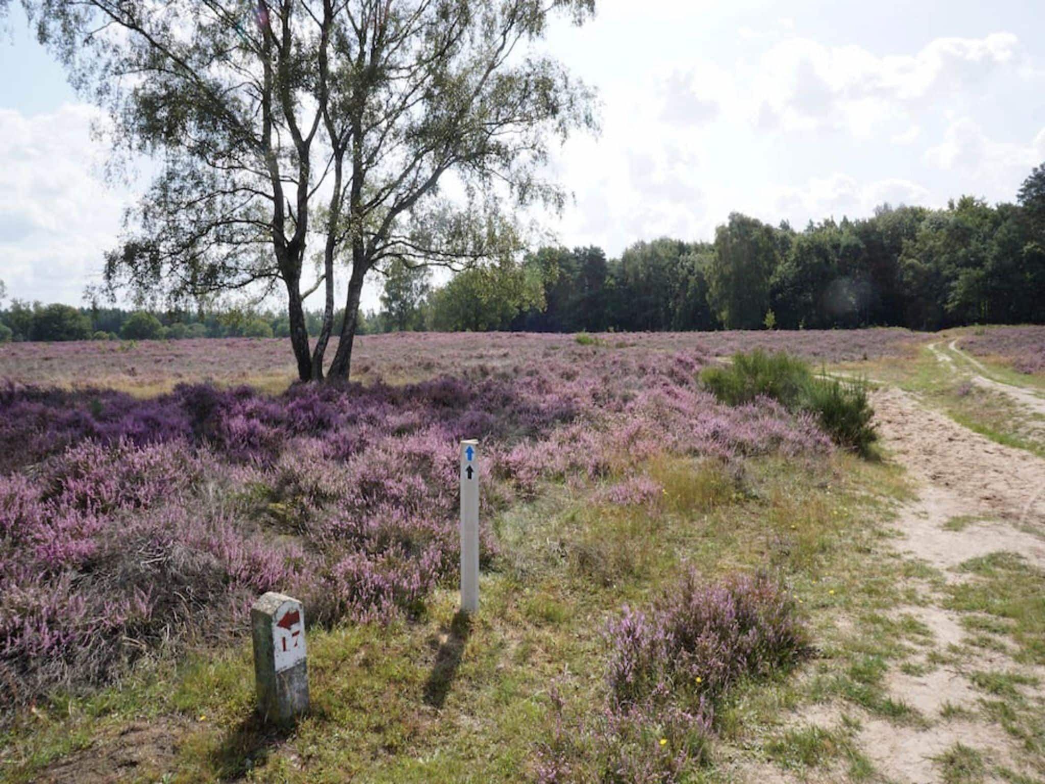 De omgeving van Buitenplaats Berg en Bos nummer 4 in Lemele