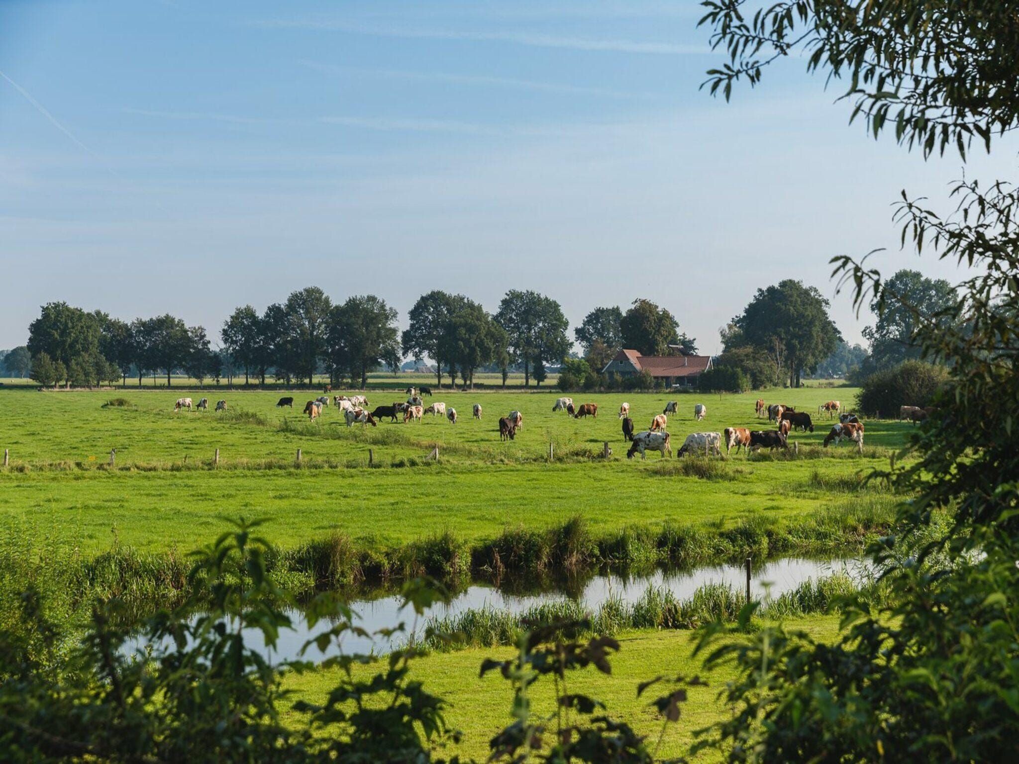 De omgeving van Vakantiepark Mölke 29 in Zuna