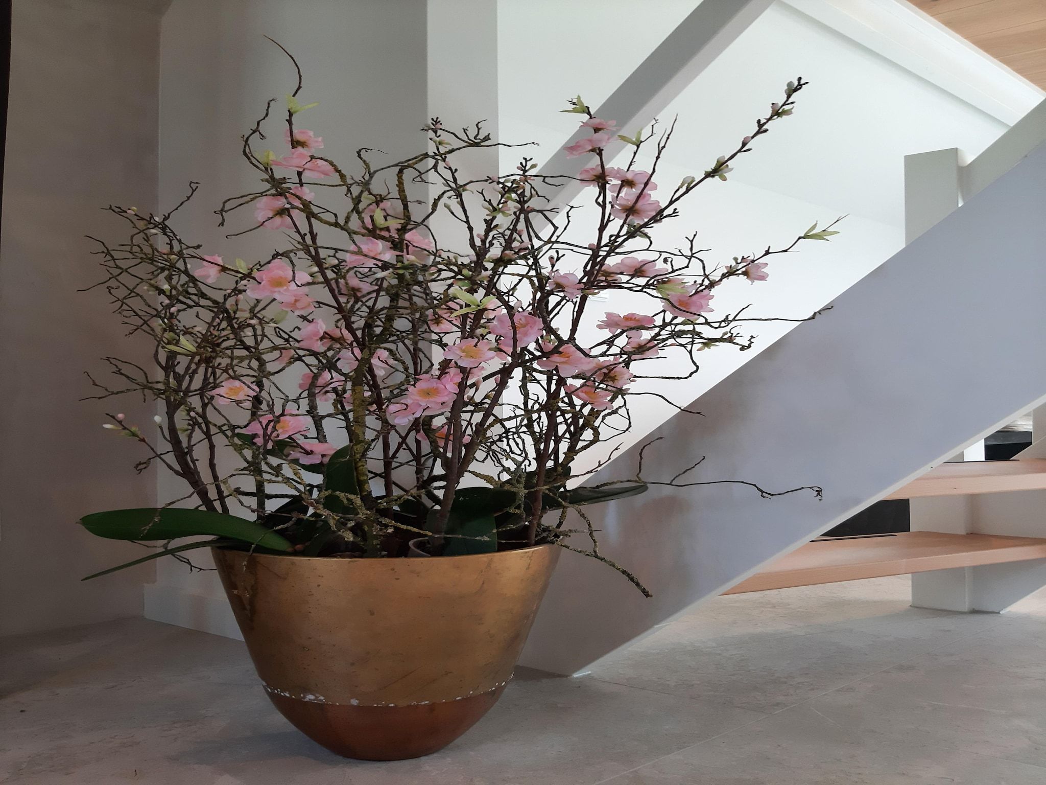 Sfeerbeeld van Vakantiehuis DJEZ in Tuitjenhorn