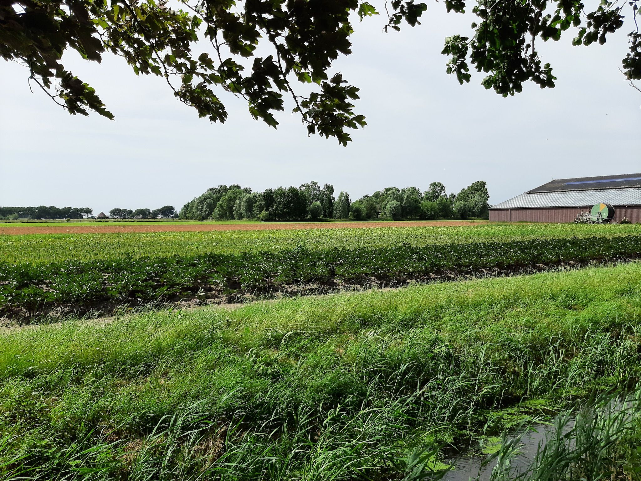 Vakantiehuis DJEZ in Tuitjenhorn - Foto 22 van 40