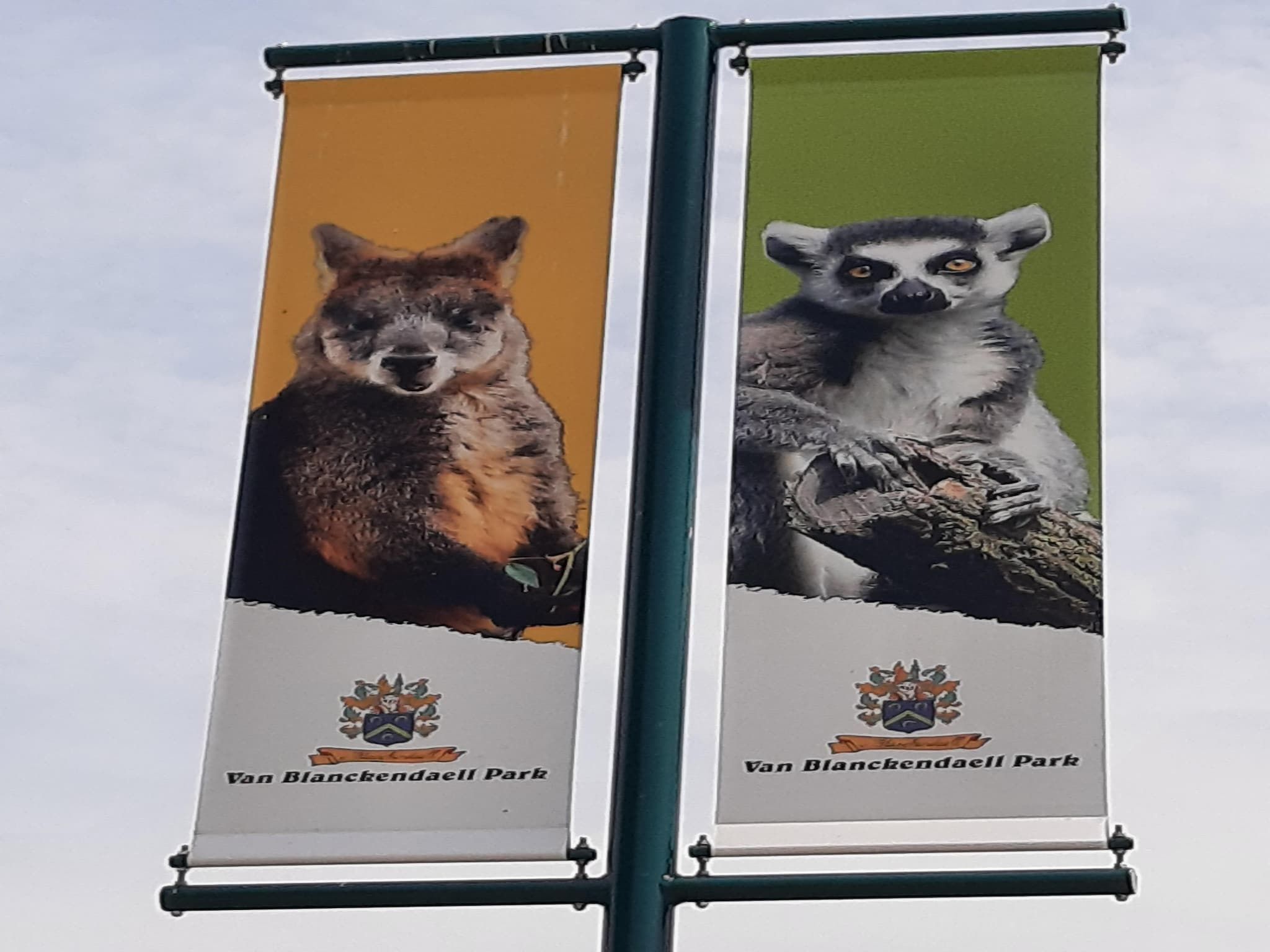 Vakantiehuis DJEZ in Tuitjenhorn - Foto 24 van 40