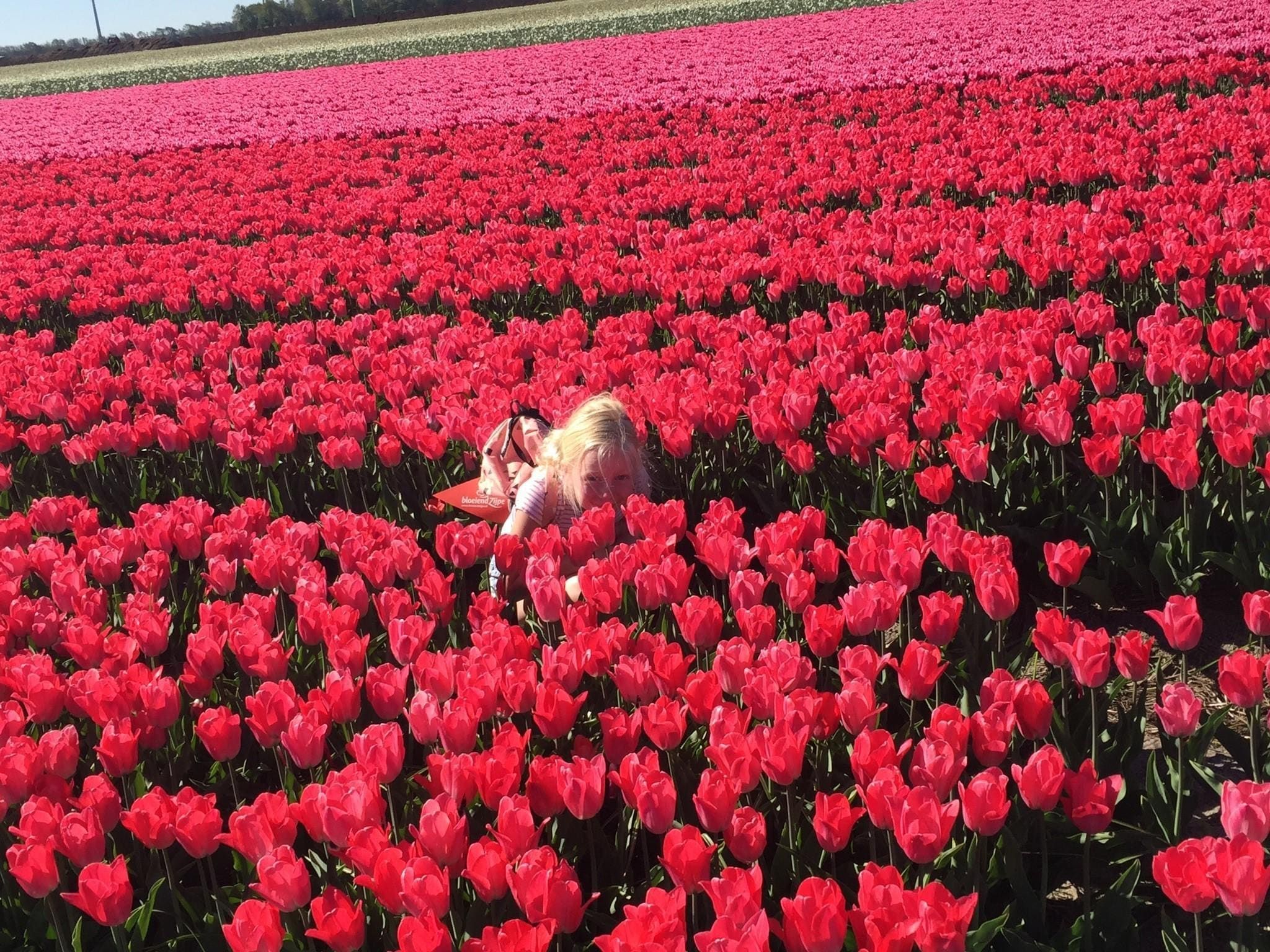 Vakantiehuis DJEZ in Tuitjenhorn - Foto 23 van 40