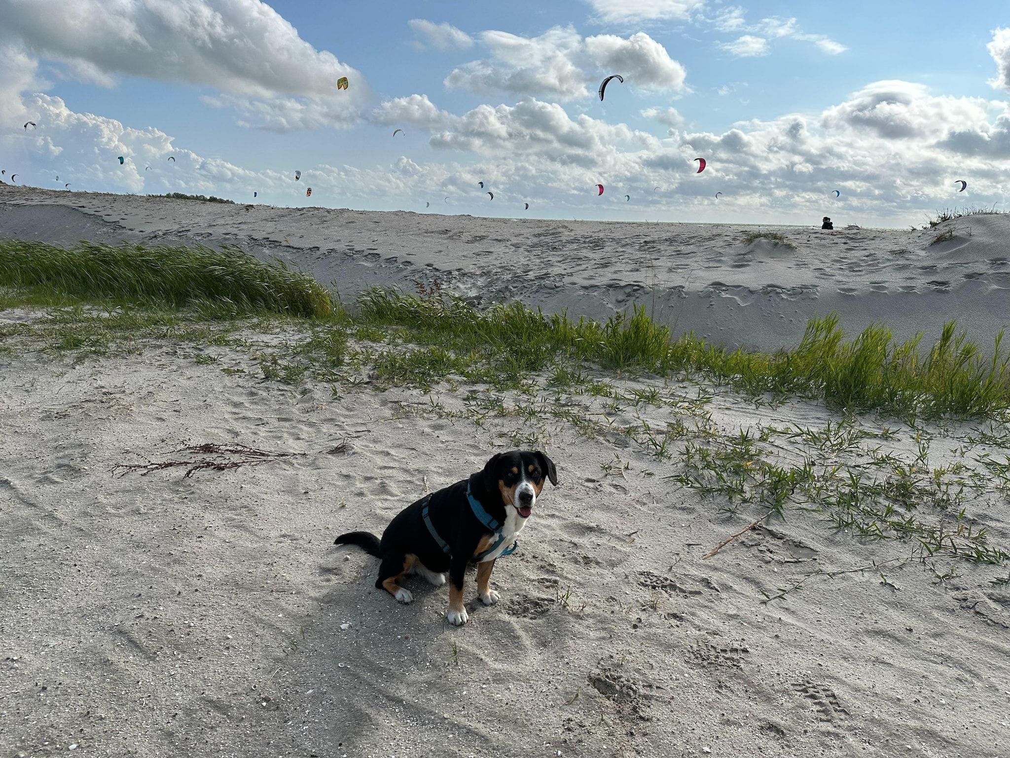 De omgeving van Luxe villa aan het water in Stavoren