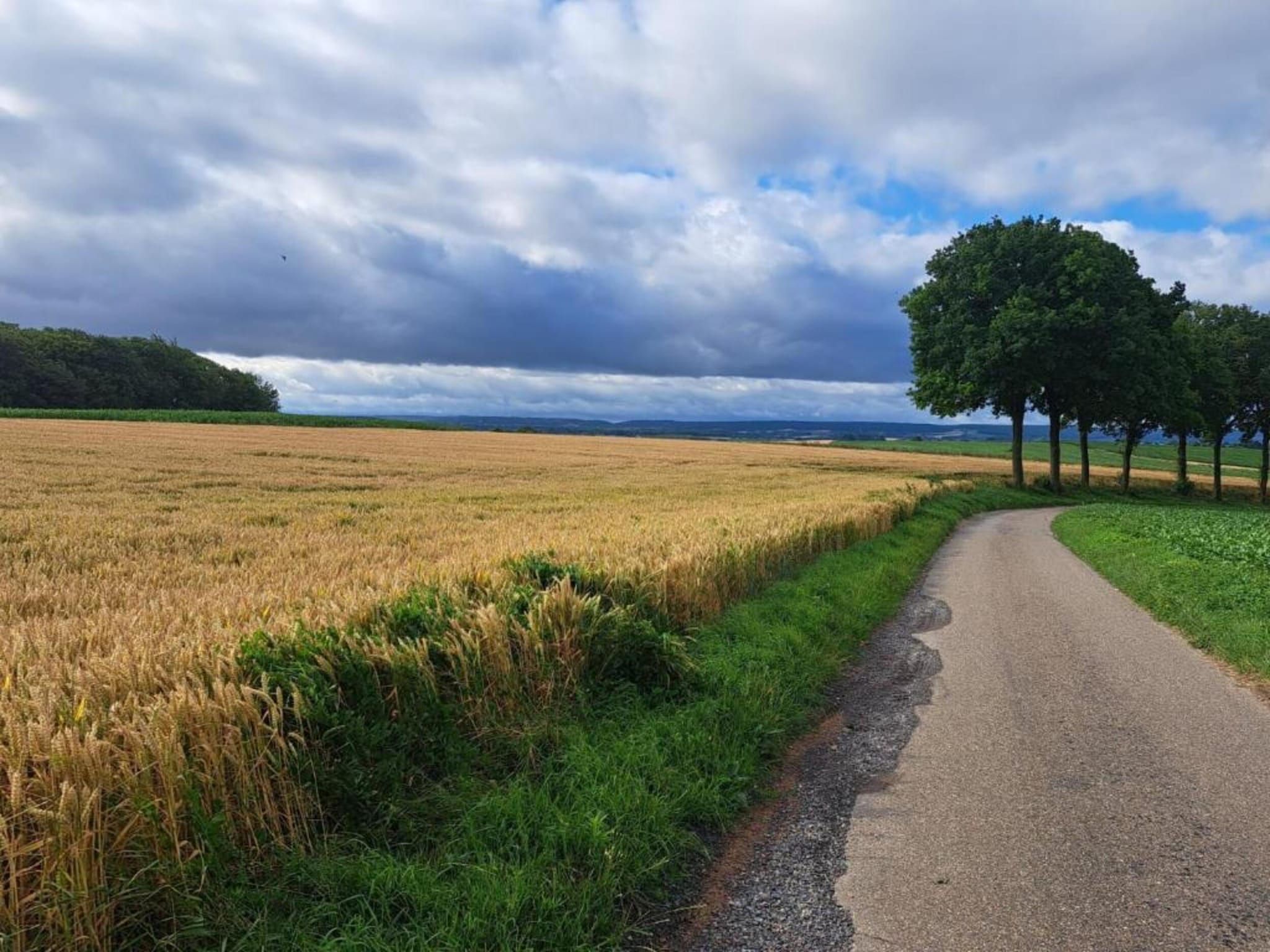 Herenhoeve de Bockhof in Schimmert - Foto 27 van 40