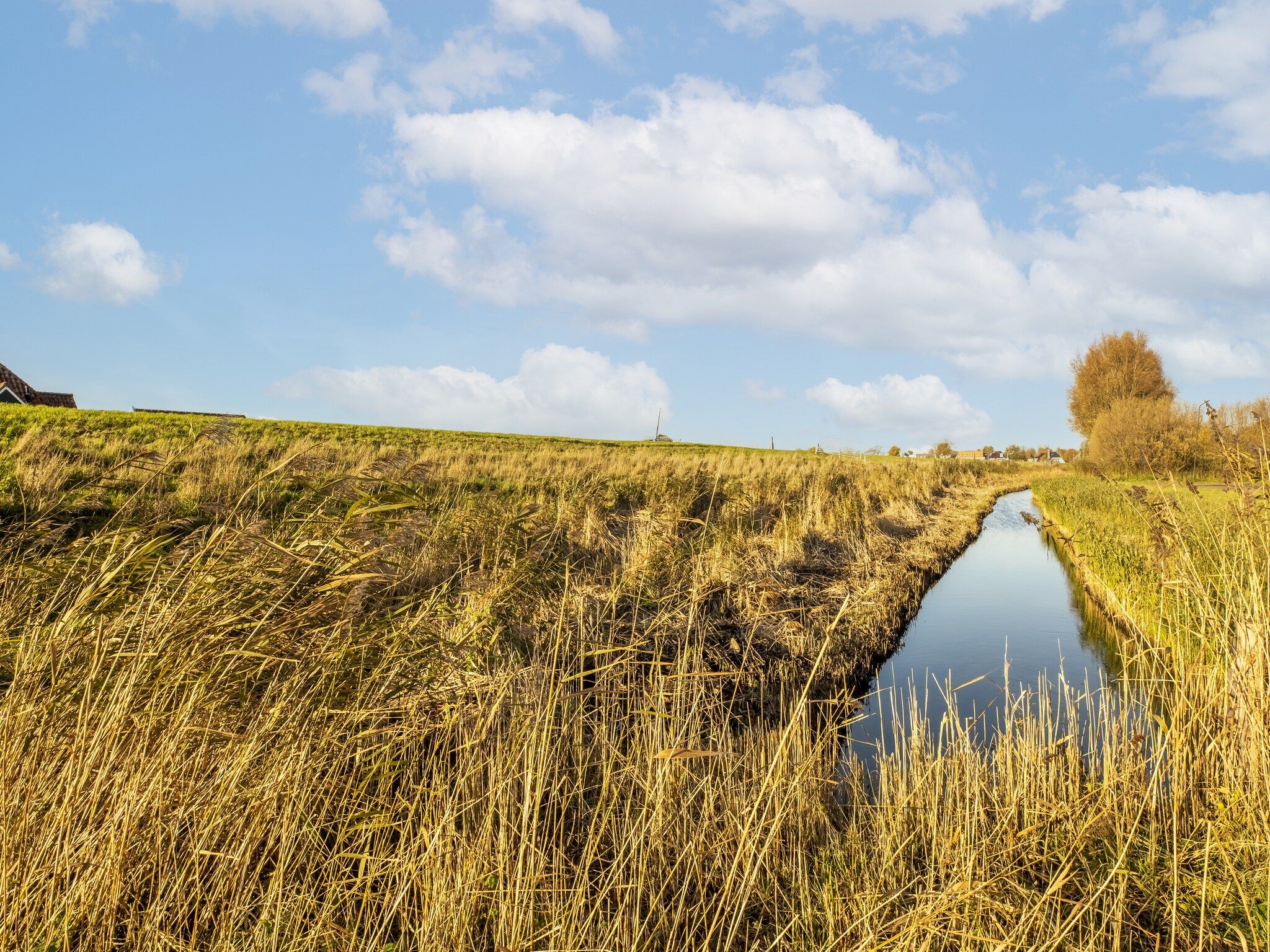 De omgeving van Marina Sunrise in Volendam