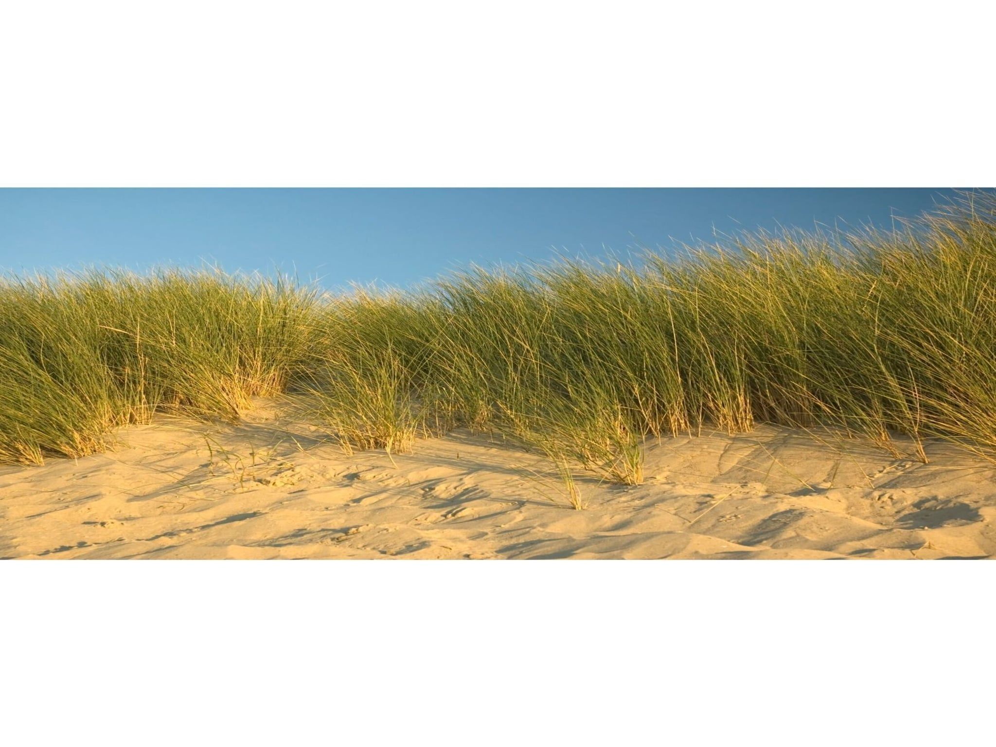 Zeeuwse Parel Appartement 4 pers 1 bdk - 1 in Colijnsplaat - Foto 35 van 38