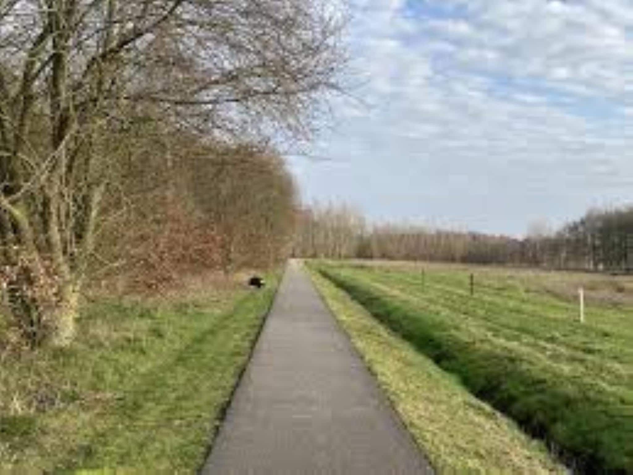 Wellness lodge Wulp 2p in Drenthe - Foto 14 van 33