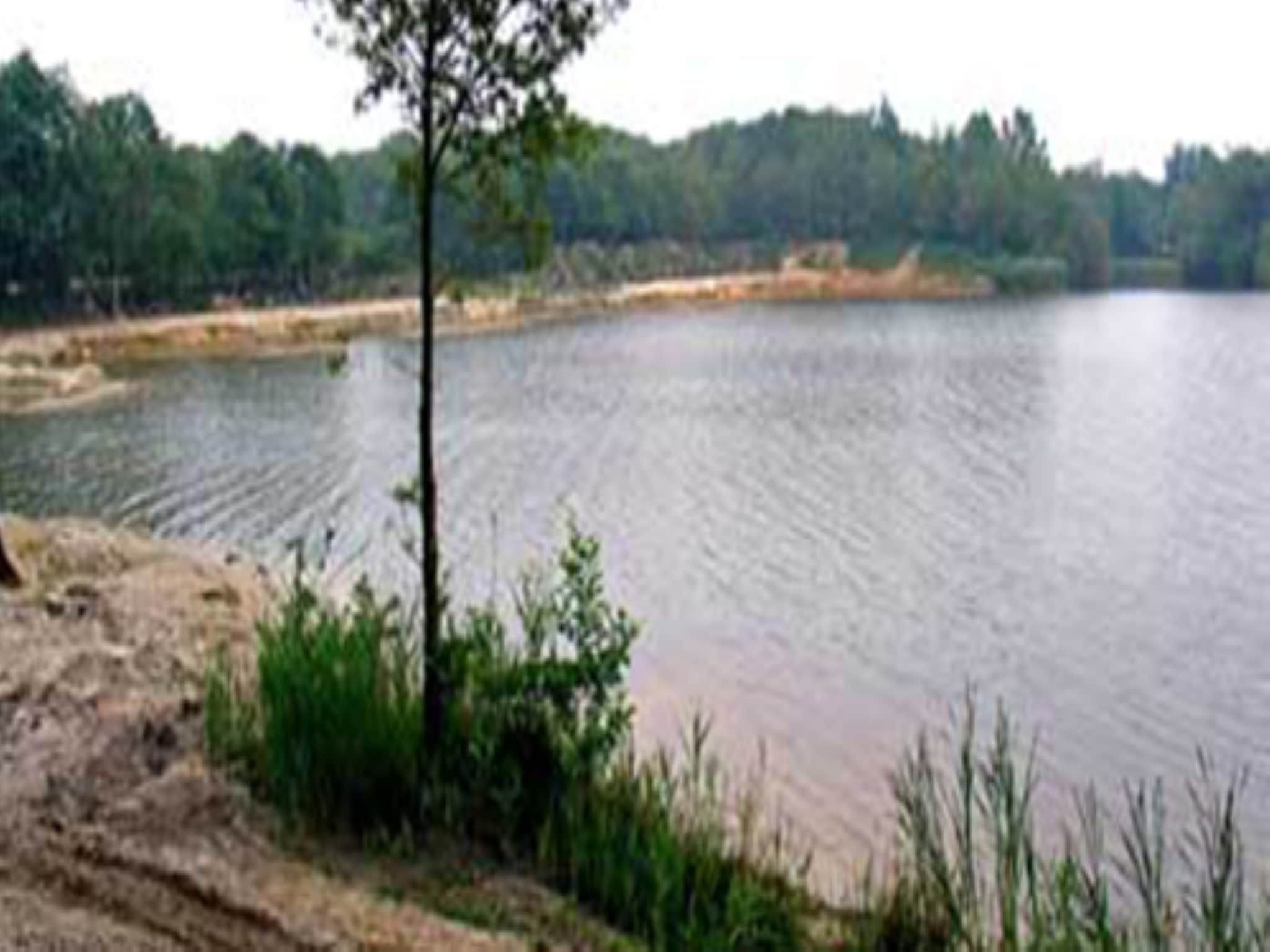 De omgeving van Wellnesslodge Scholekster 4p in Dalerveen