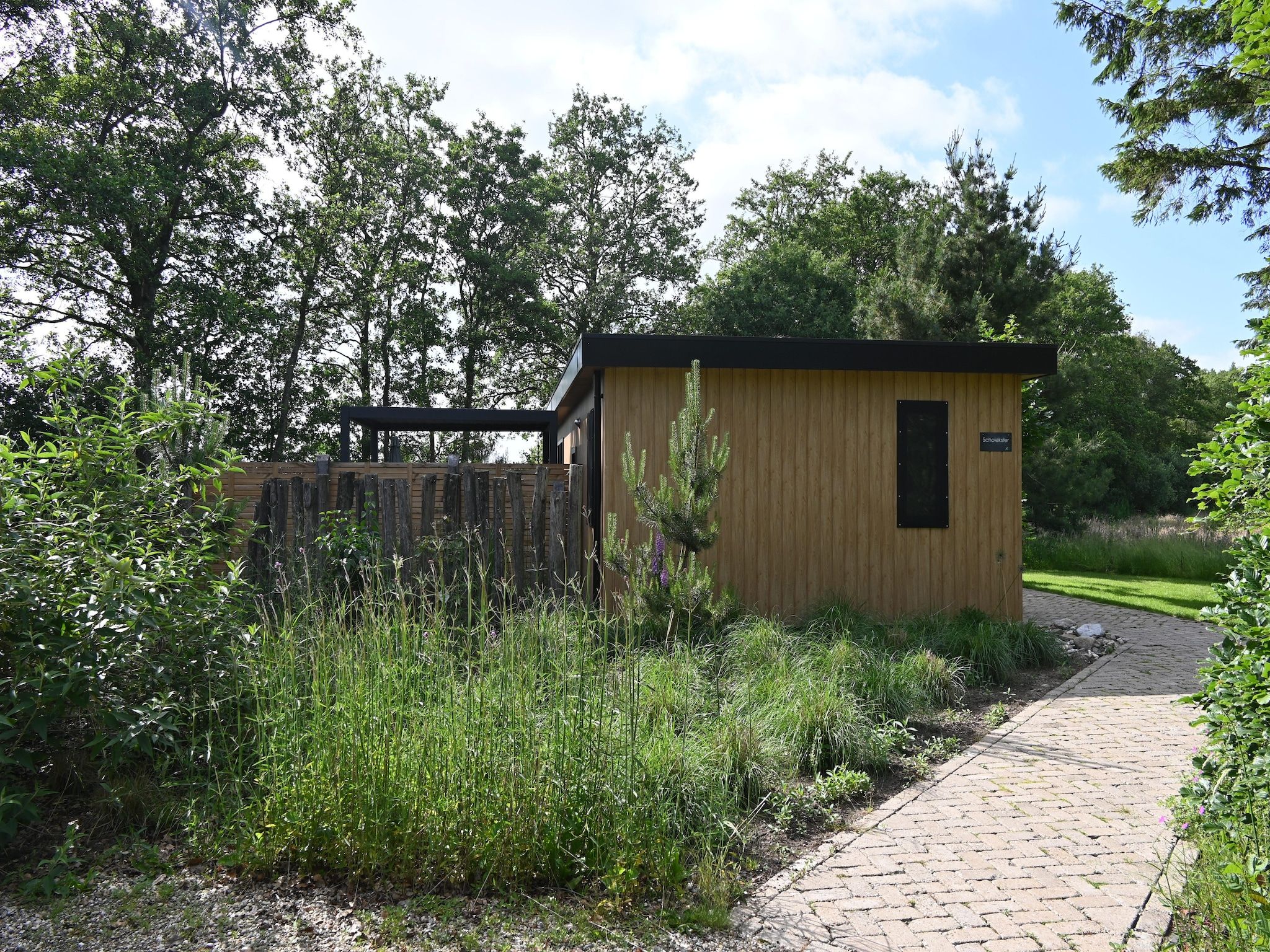 De tuin van Wellnesslodge Scholekster 4p in Dalerveen
