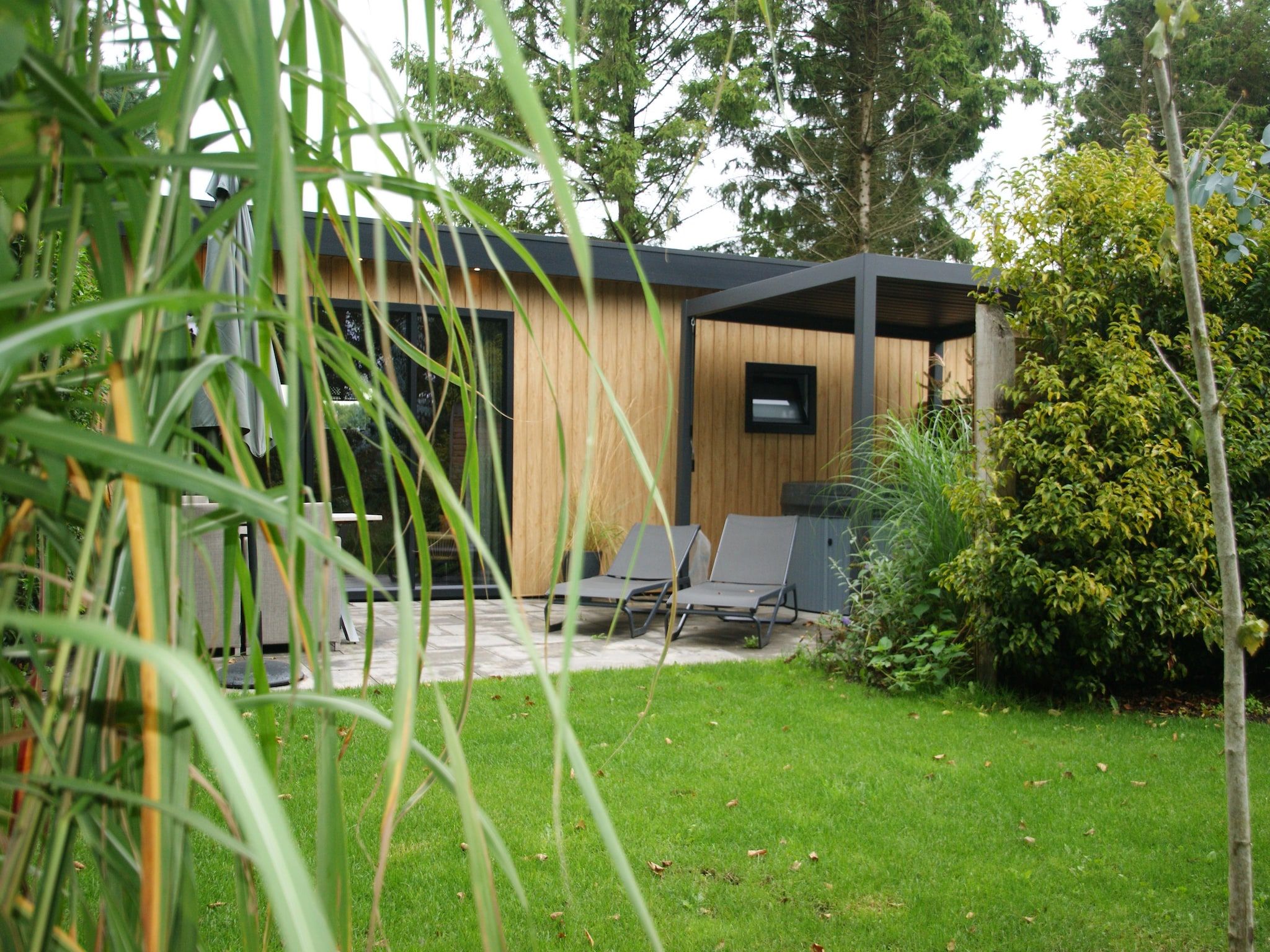 De tuin van Wellnesslodge Scholekster 4p in Dalerveen