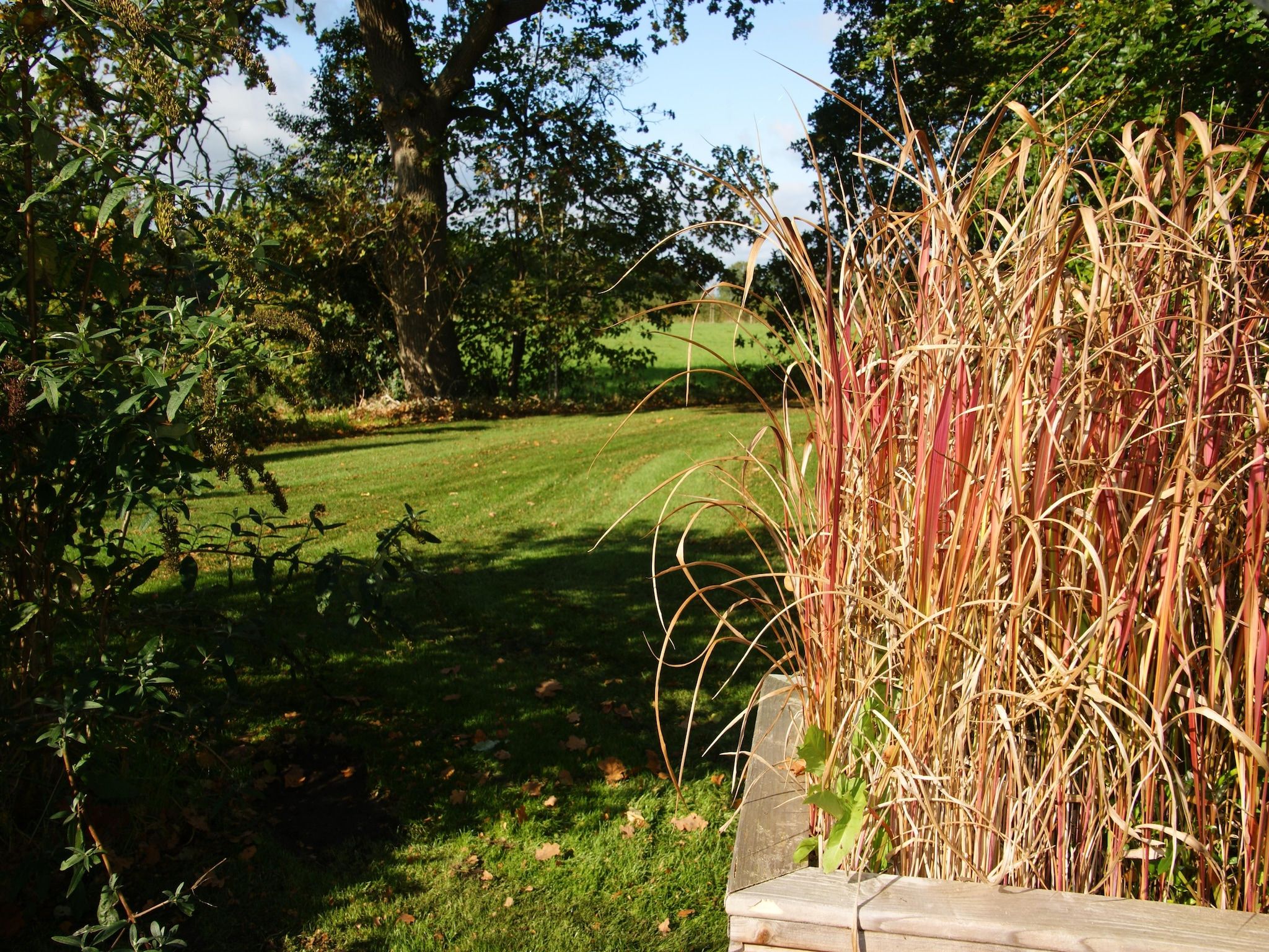 Wellnesslodge Scholekster 4p in Dalerveen - Foto 29 van 34