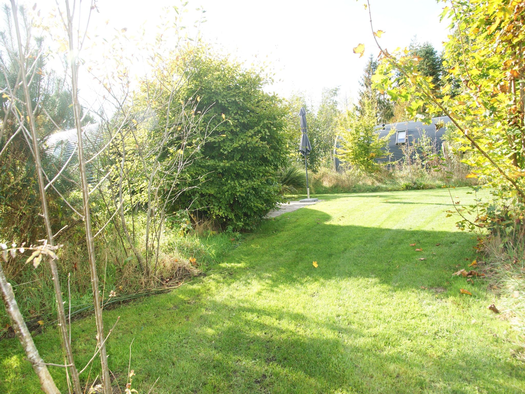 Wellnesslodge Scholekster 4p in Dalerveen - Foto 33 van 34