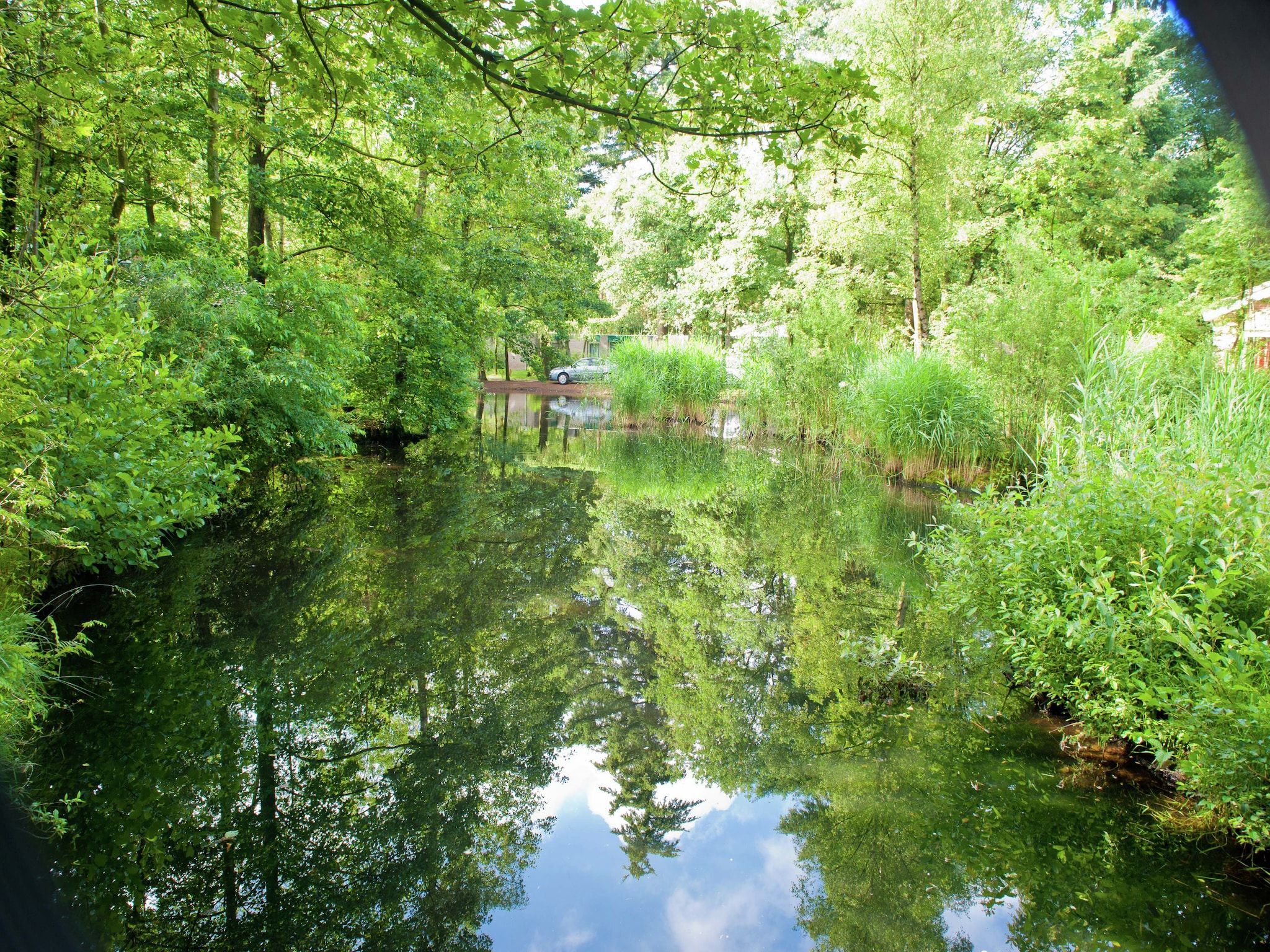 De omgeving van Vakantiepark de Berkenhorst 12 in Kootwijk