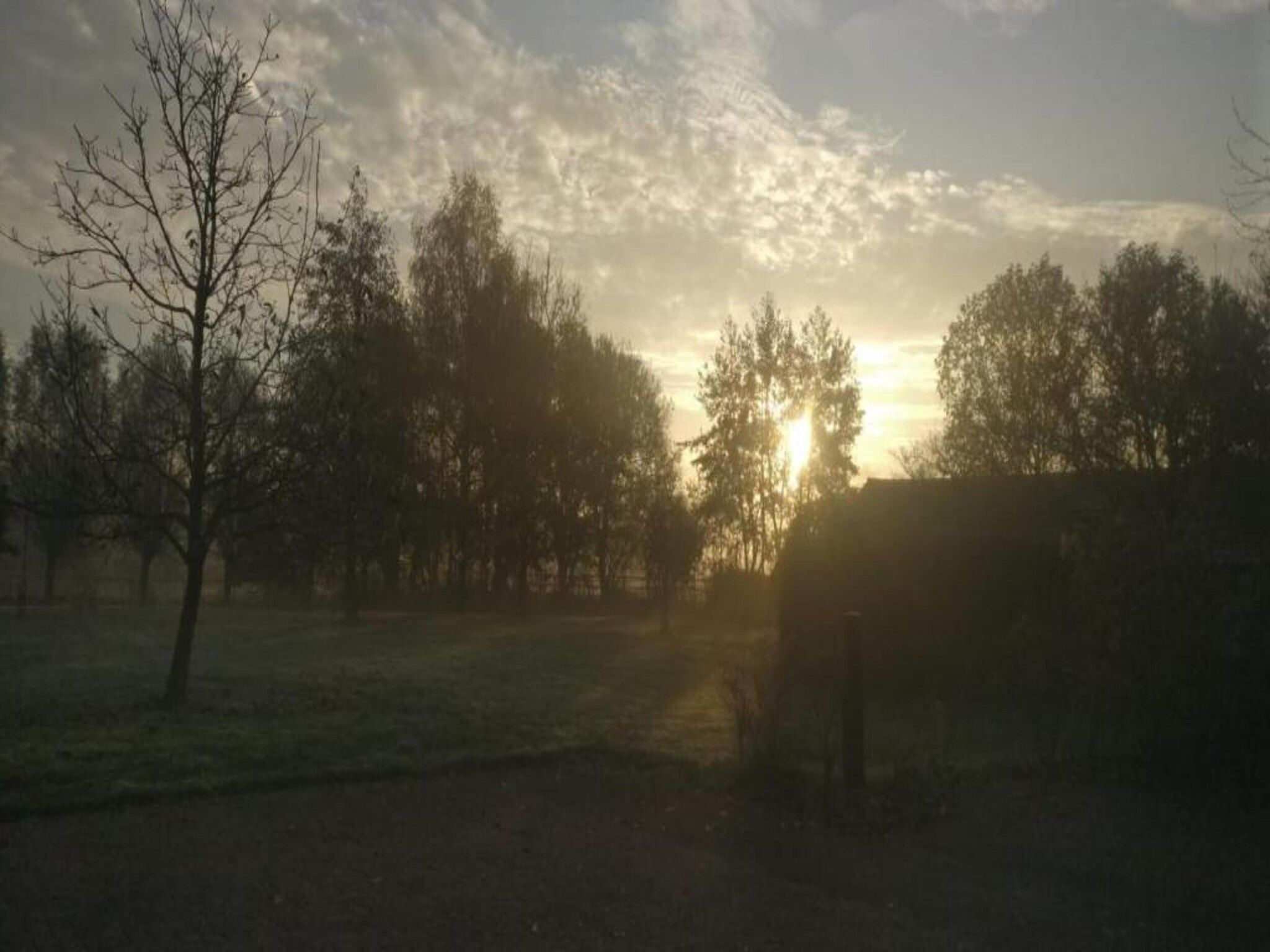 De omgeving van Vakantiepark De Heihorsten 5 in Someren