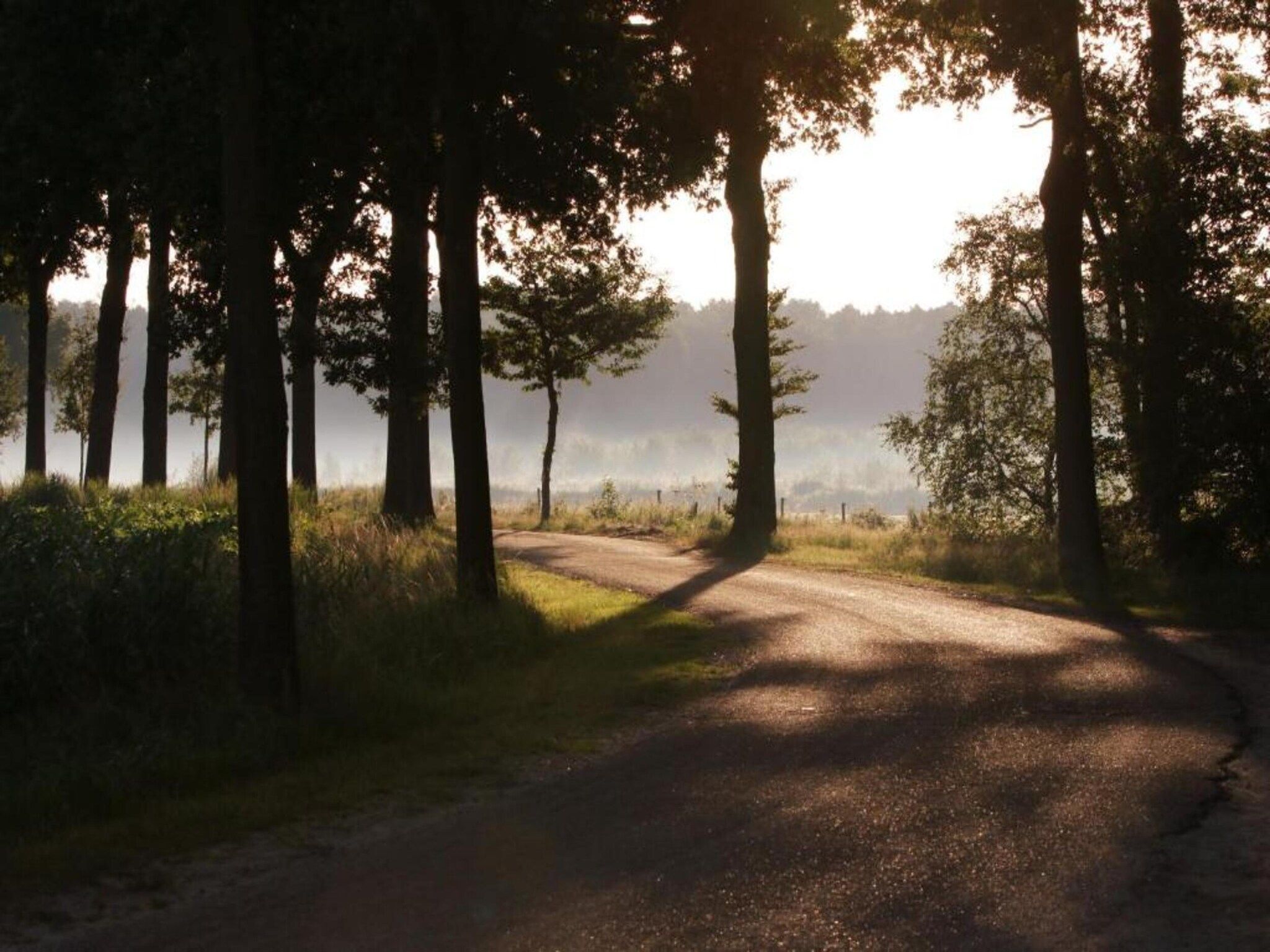 De omgeving van Vakantiepark De Heihorsten 5 in Someren