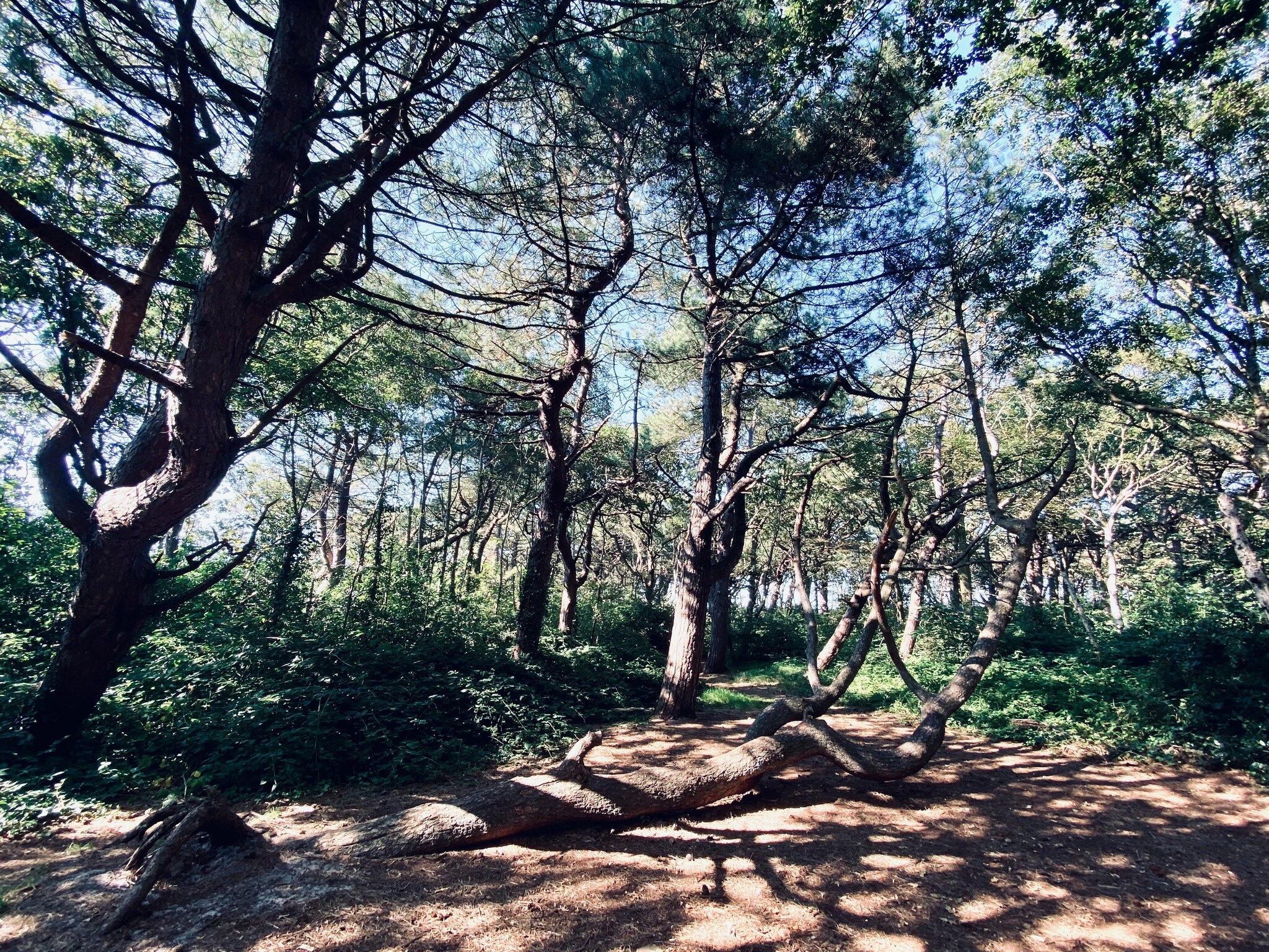 INFINITY in Callantsoog - Foto 24 van 35