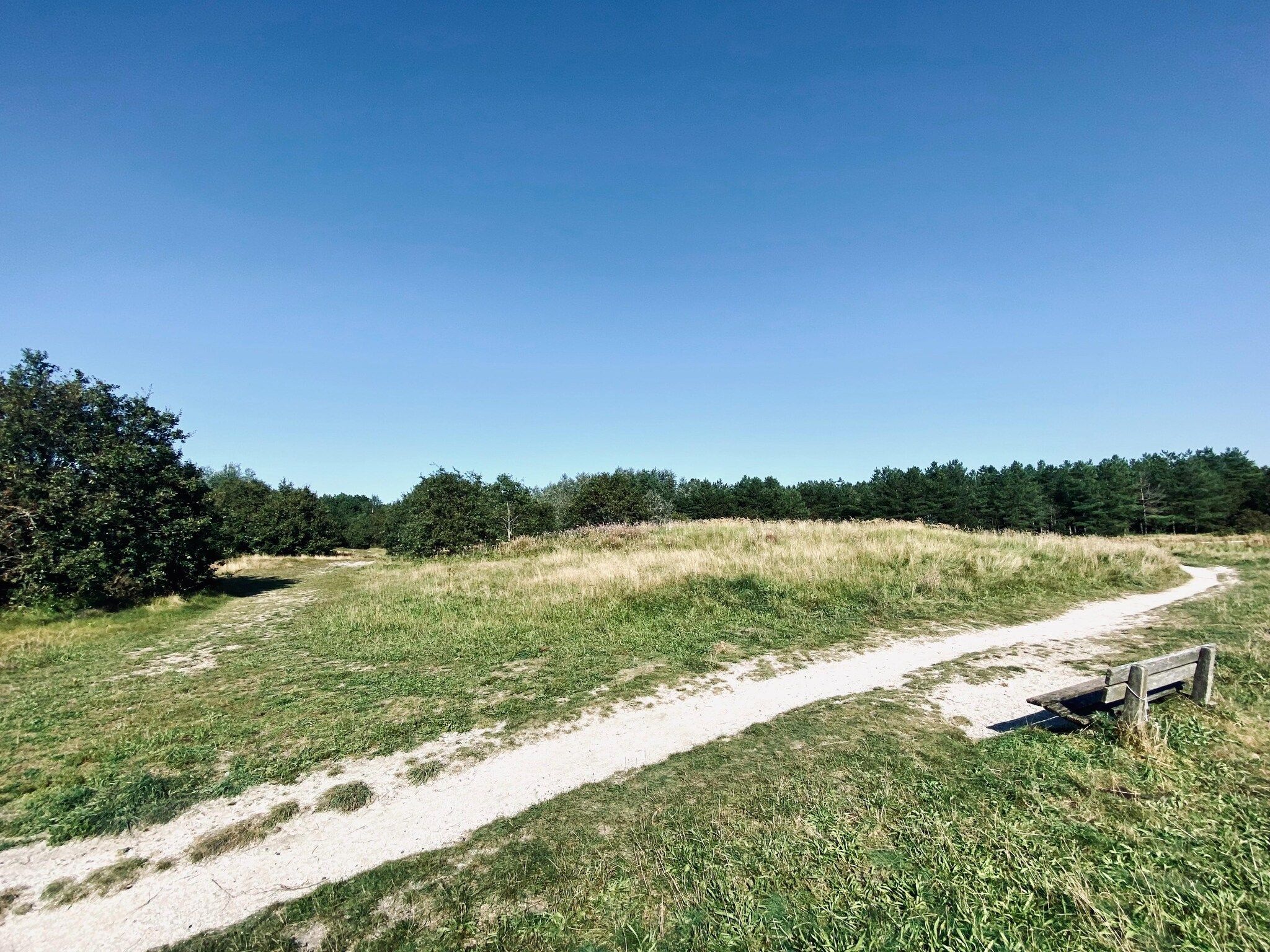 De omgeving van INFINITY in Callantsoog