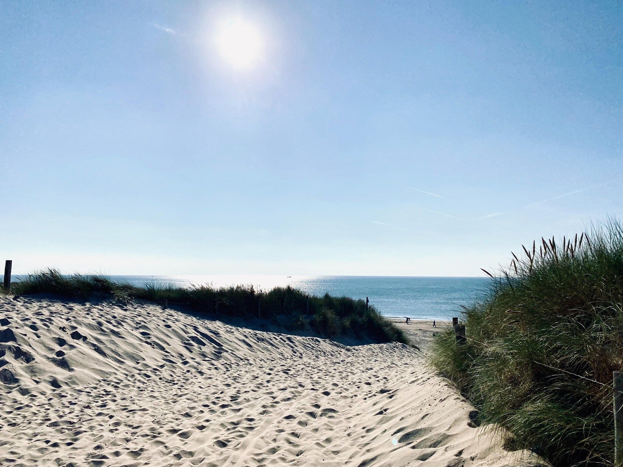 De omgeving van INFINITY in Callantsoog