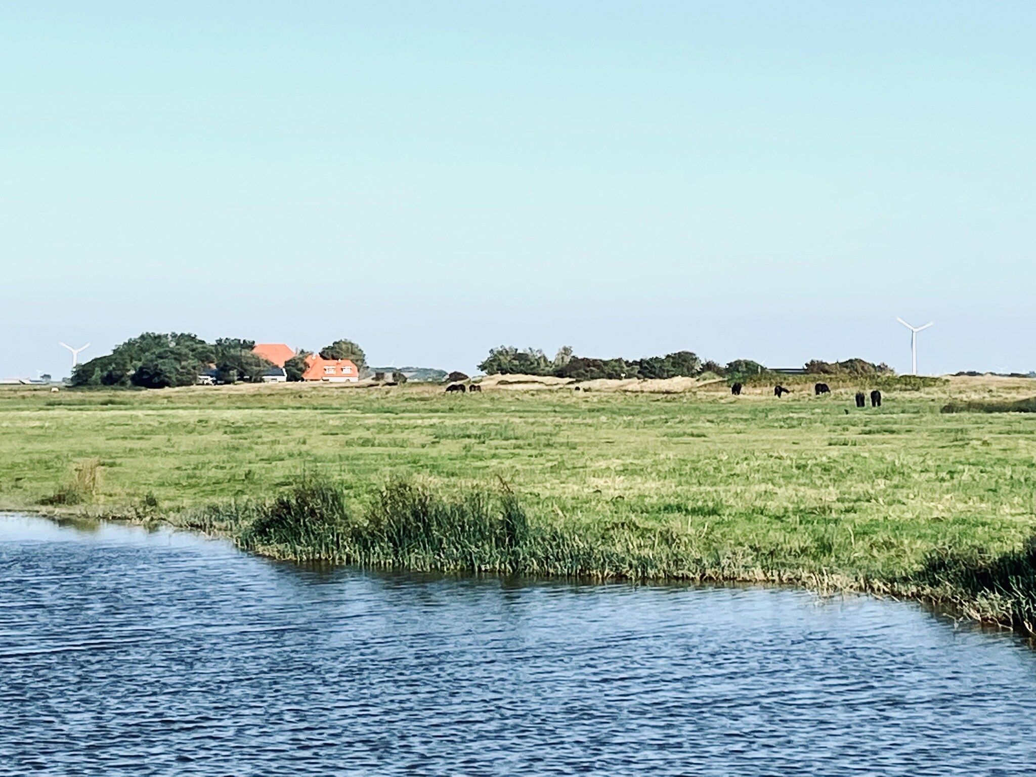 De omgeving van INFINITY in Callantsoog