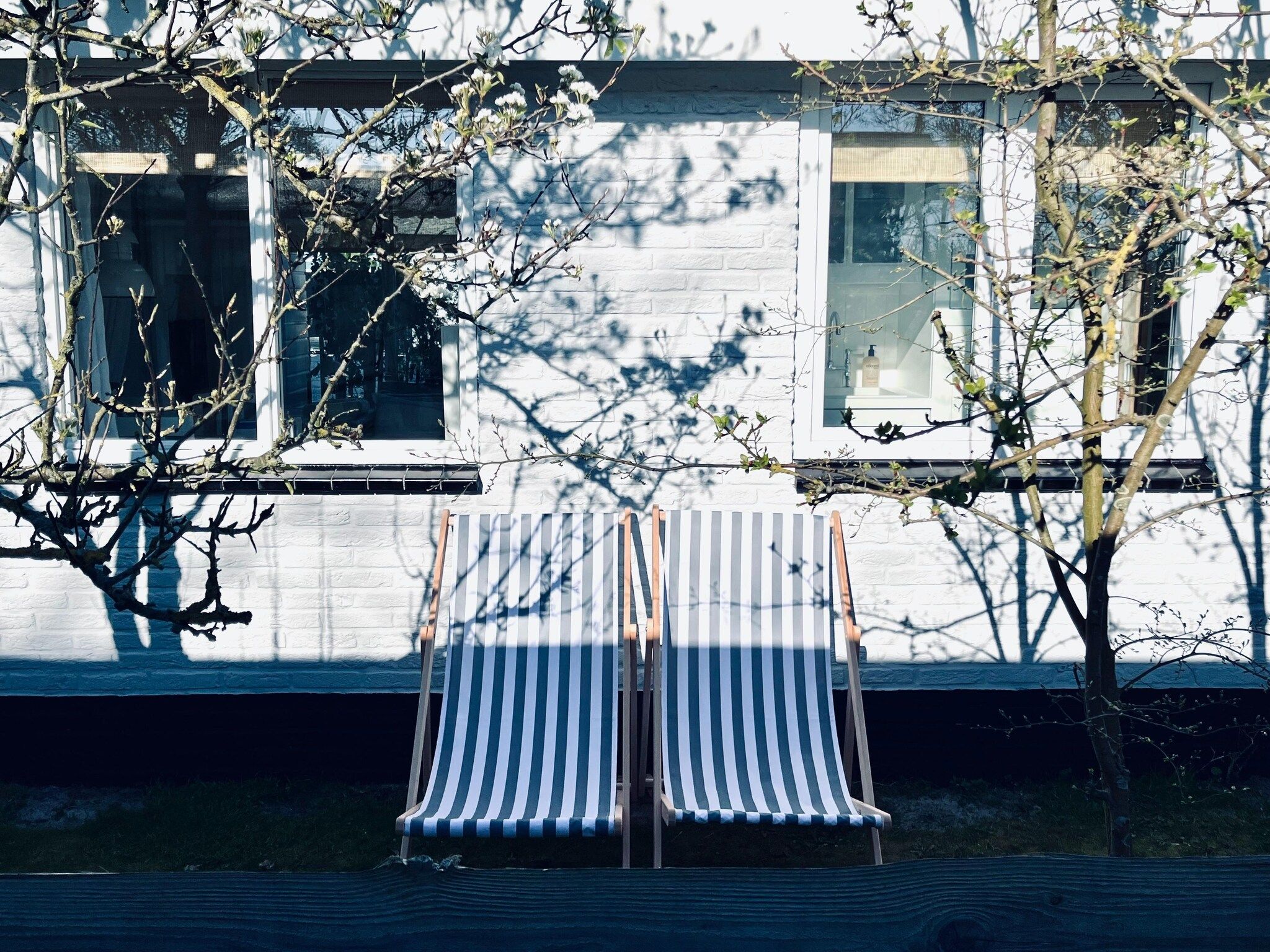 De tuin van INFINITY in Callantsoog