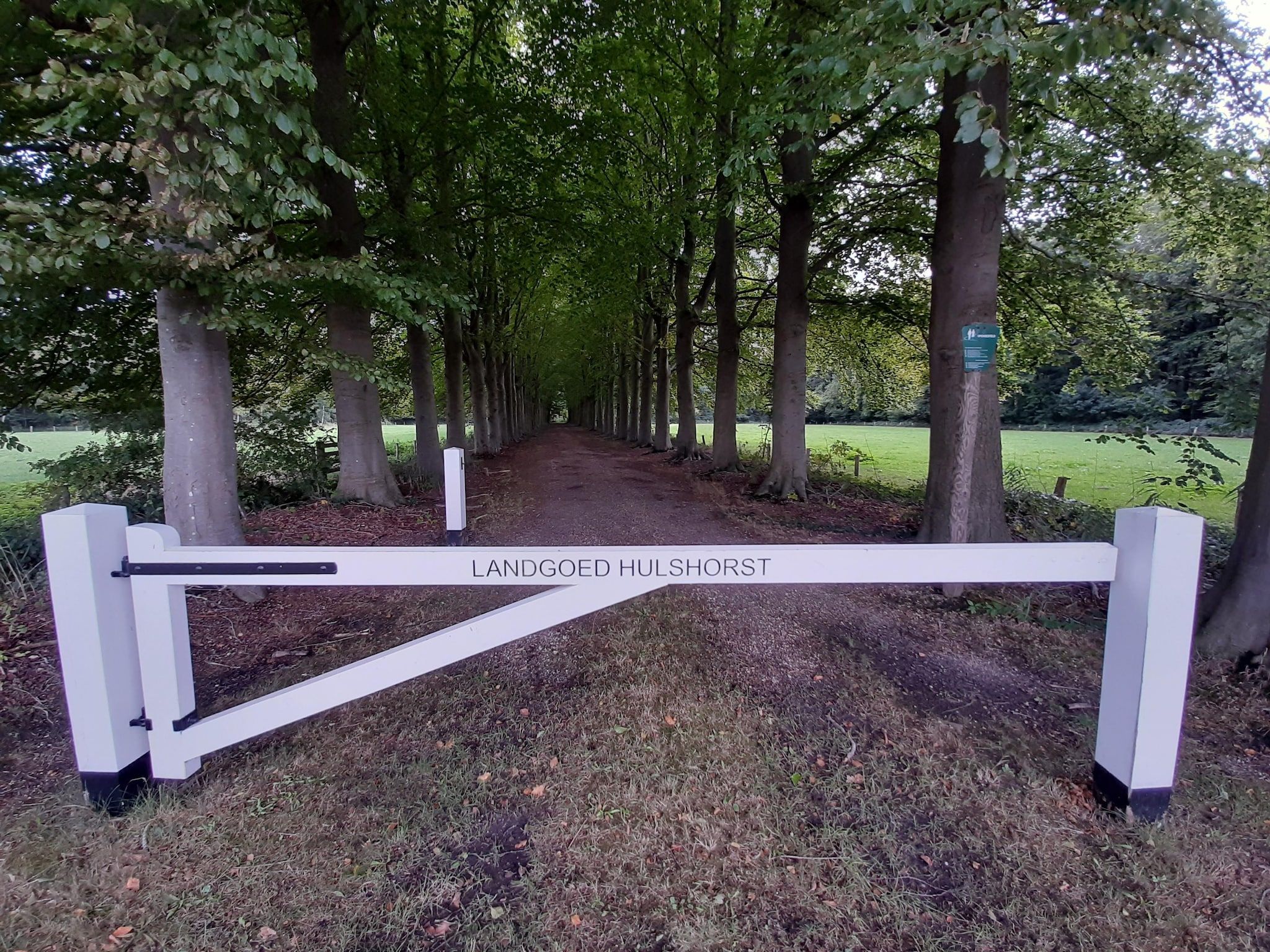 Hulshorsterhout in Hulshorst - Foto 26 van 40