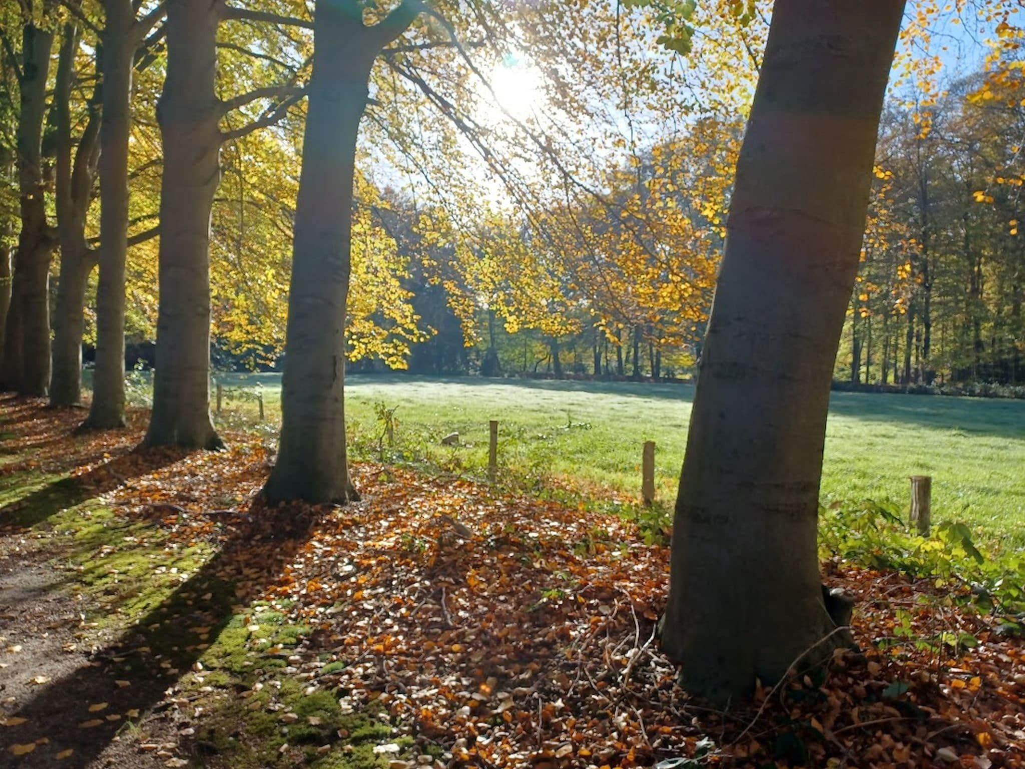 Hulshorsterhout in Hulshorst - Foto 27 van 40