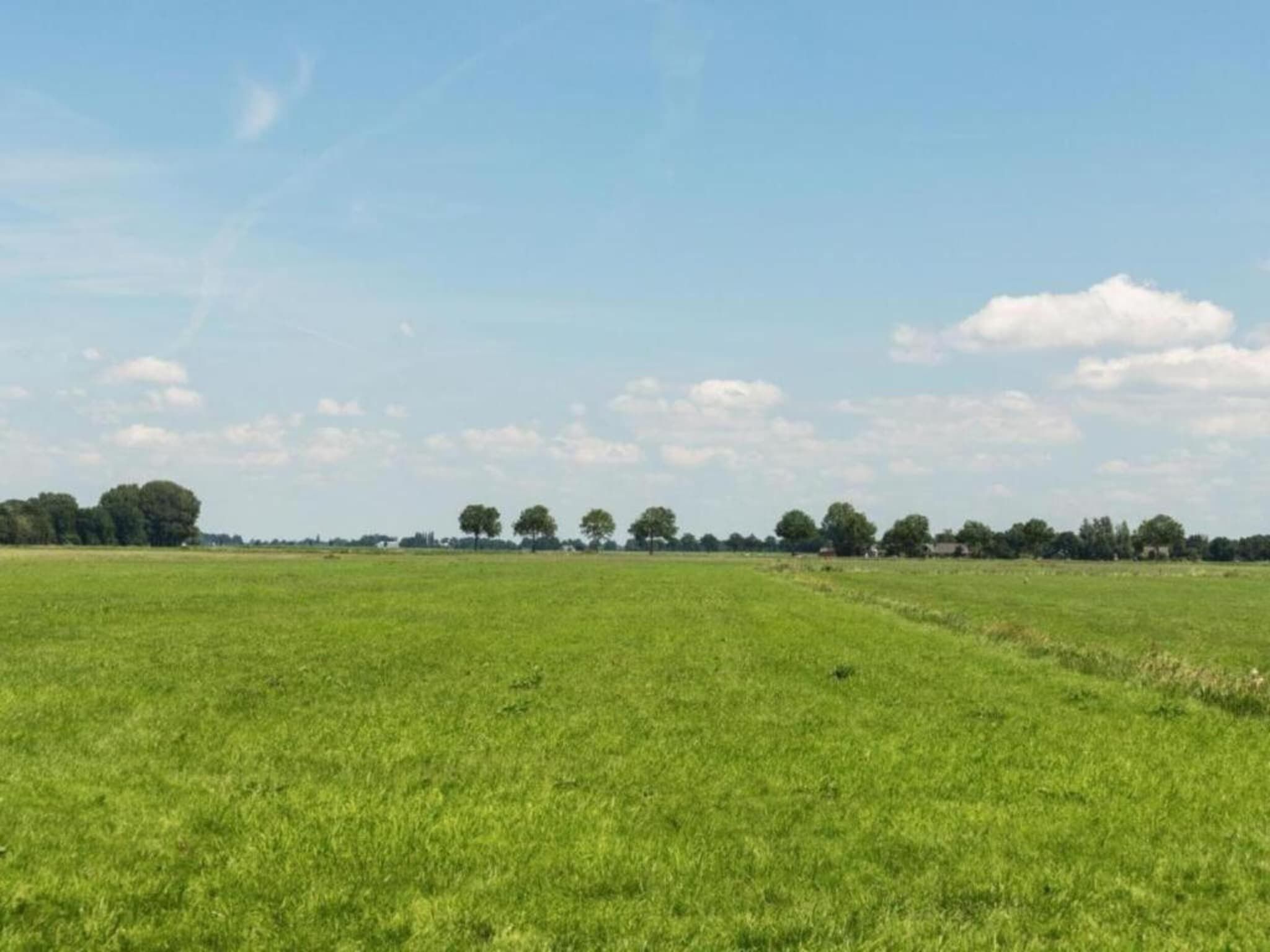 Hulshorsterhout in Hulshorst - Foto 34 van 40