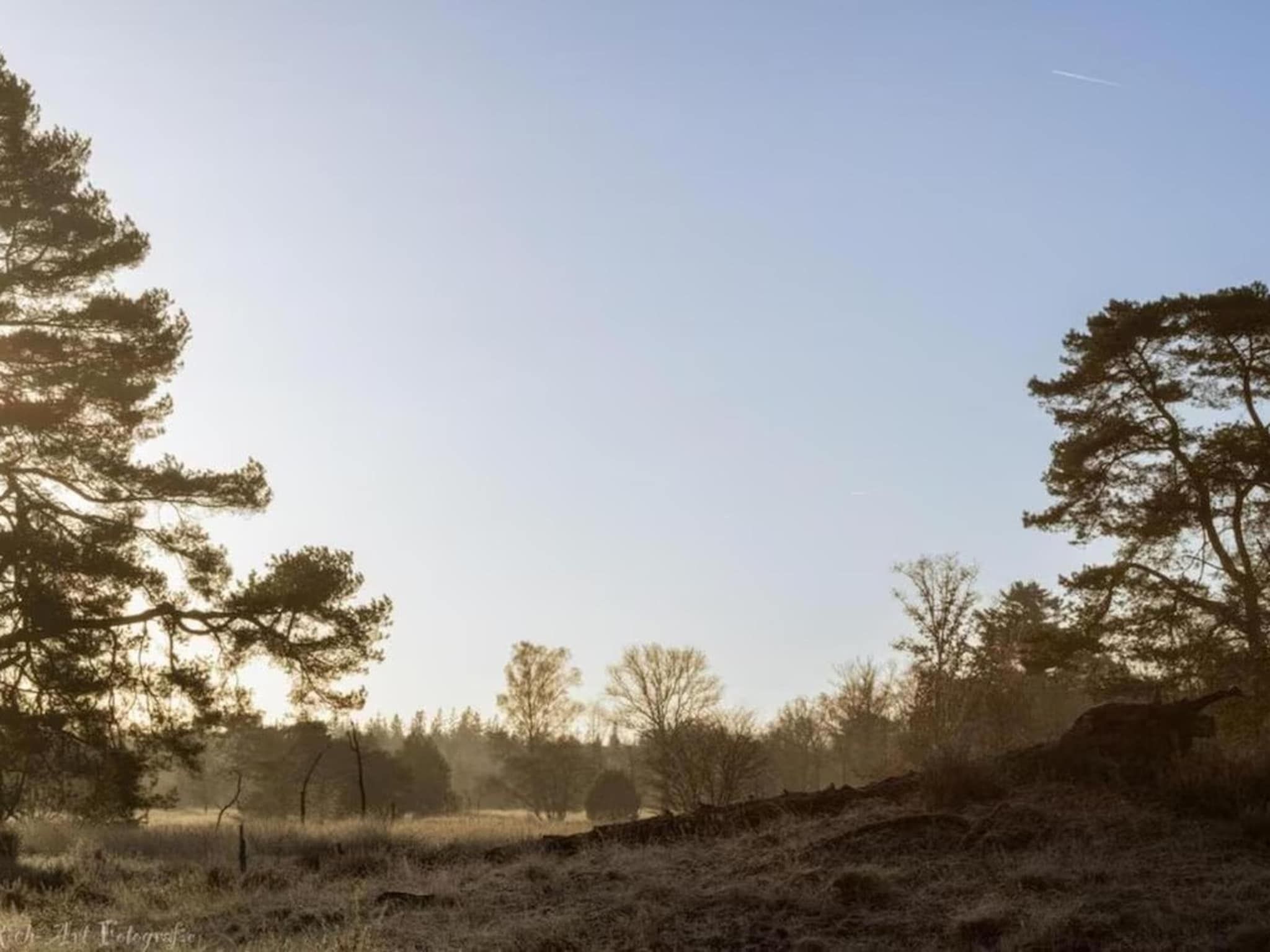 De omgeving van Hulshorsterhout in Hulshorst