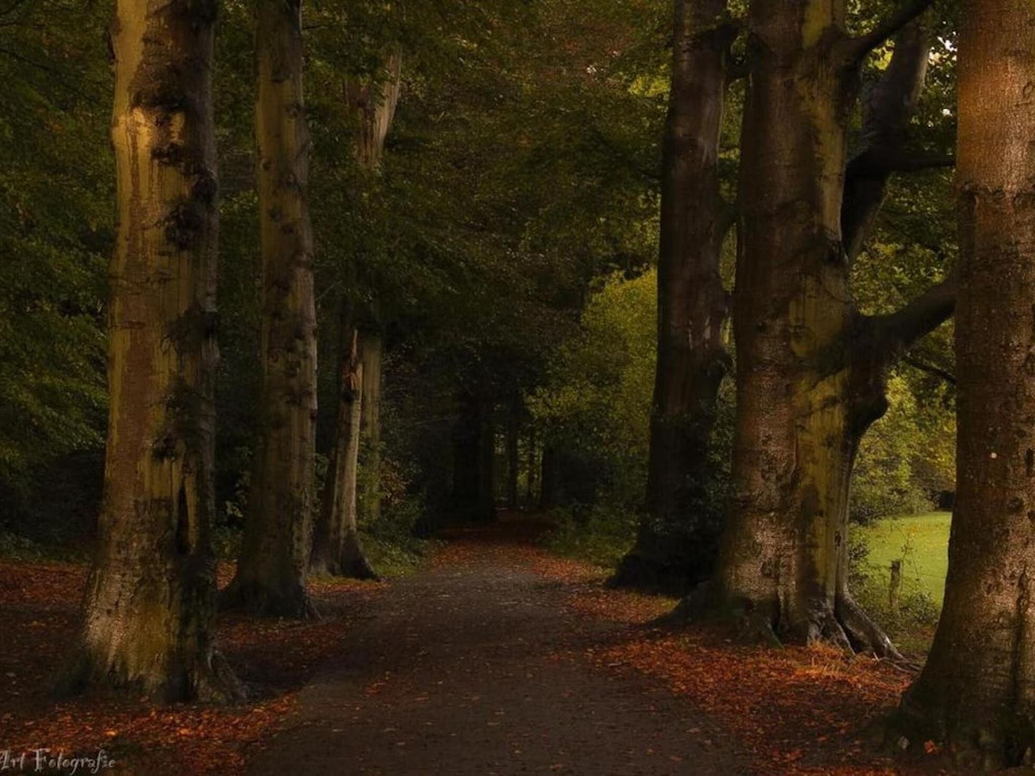 De omgeving van Hulshorsterhout in Hulshorst