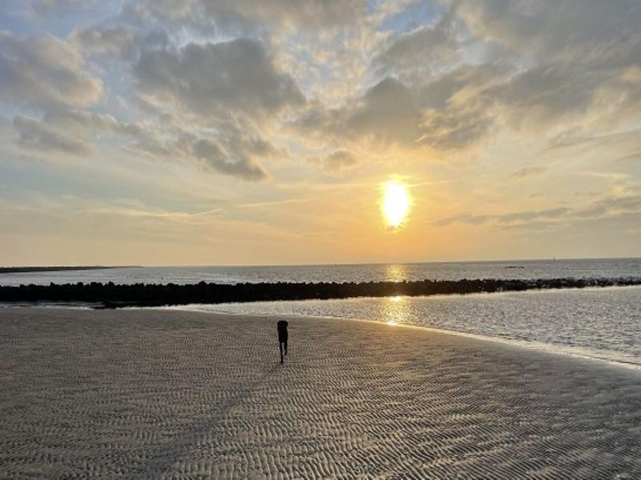 De omgeving van Golfvilla 39 Wellness in Hollum