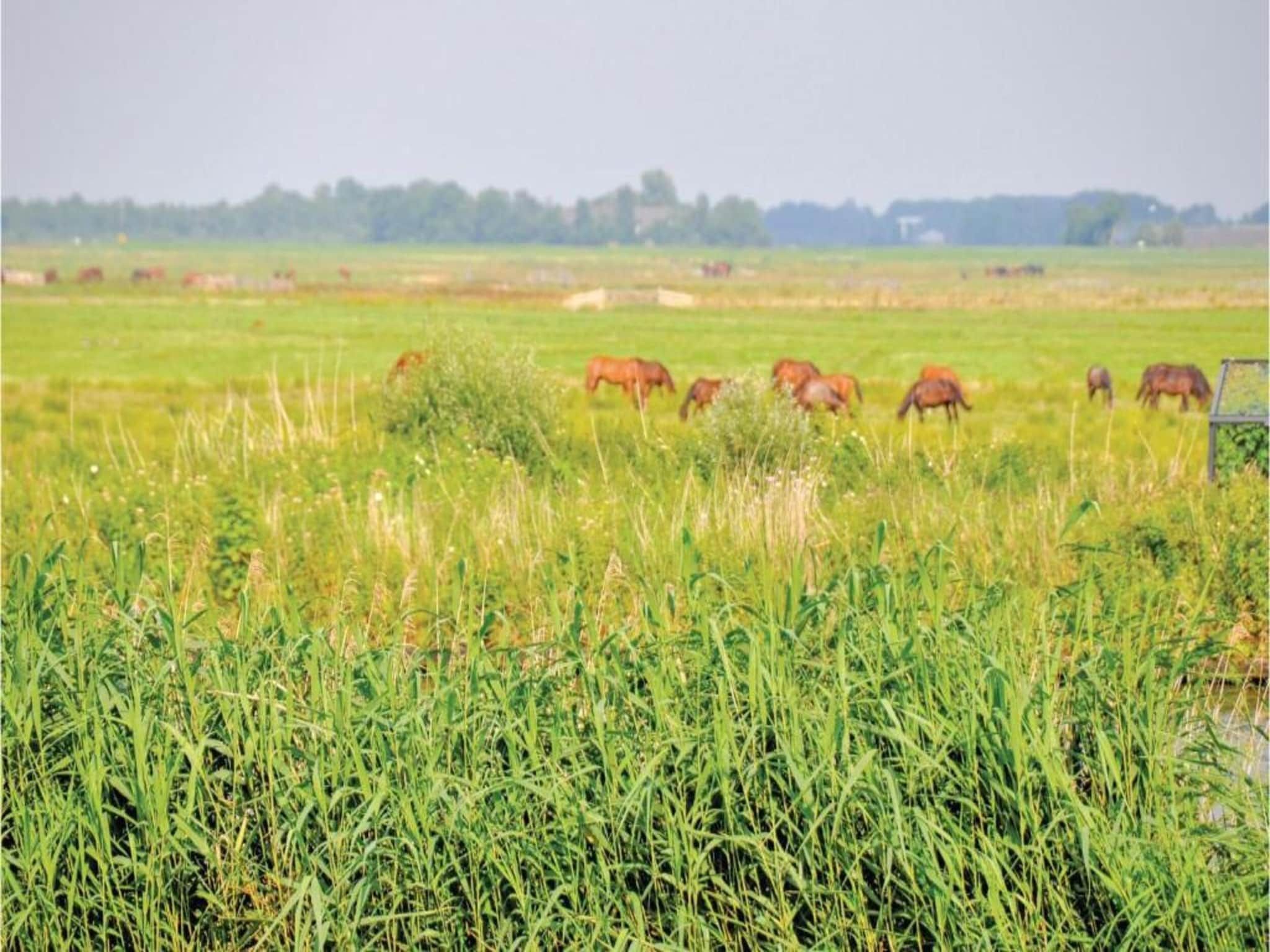 Yn'e Lijte 110 in Grou - Foto 28 van 42