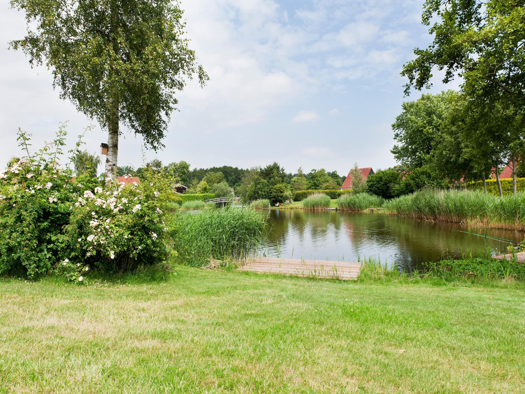 De tuin van 6 pers Renneborghuis Wellness Comfort met sauna in Groningen