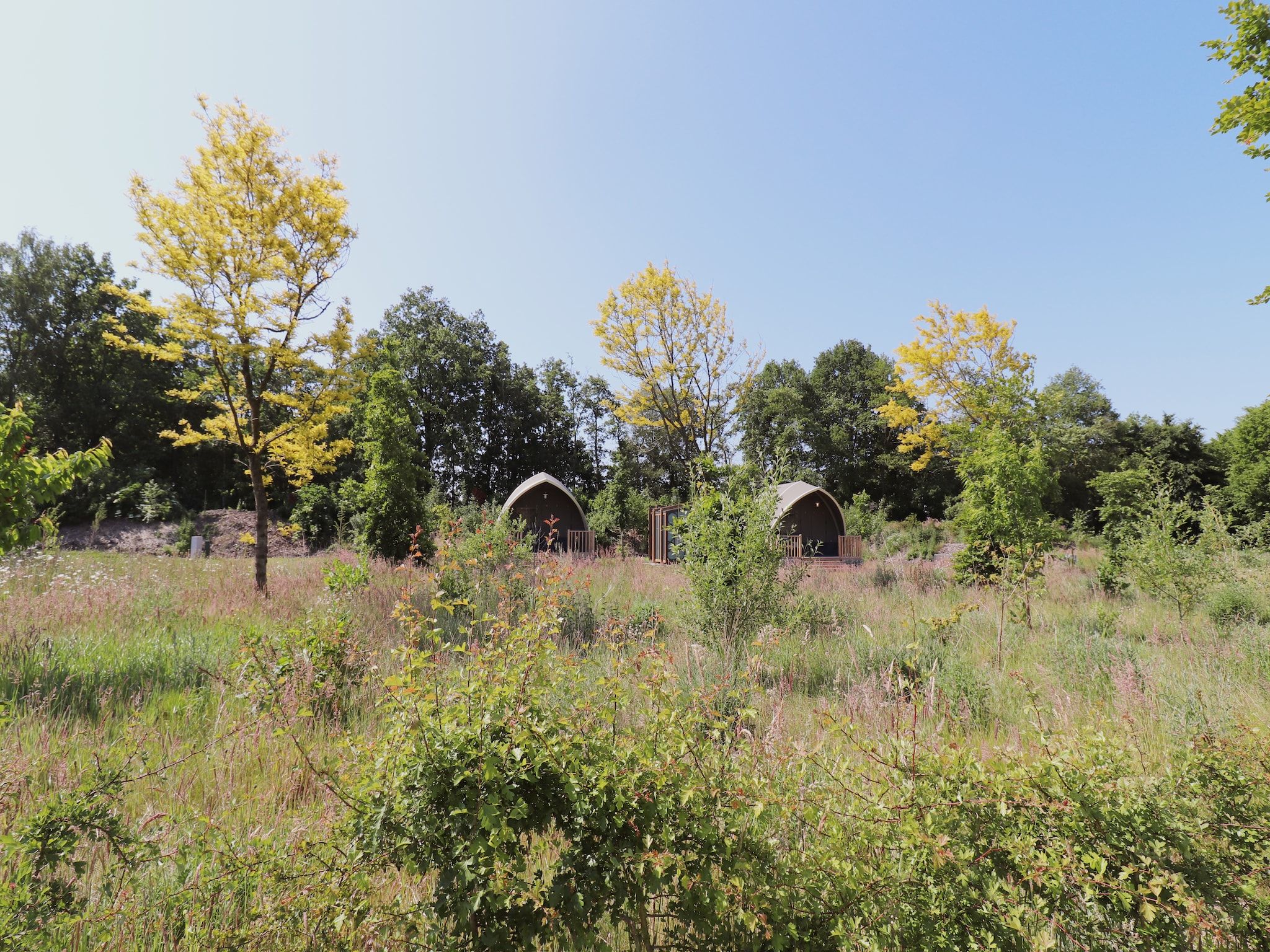 Tentlodge Partijs Wellness met sauna en prive-bad-2p in Dalerveen - Foto 18 van 33