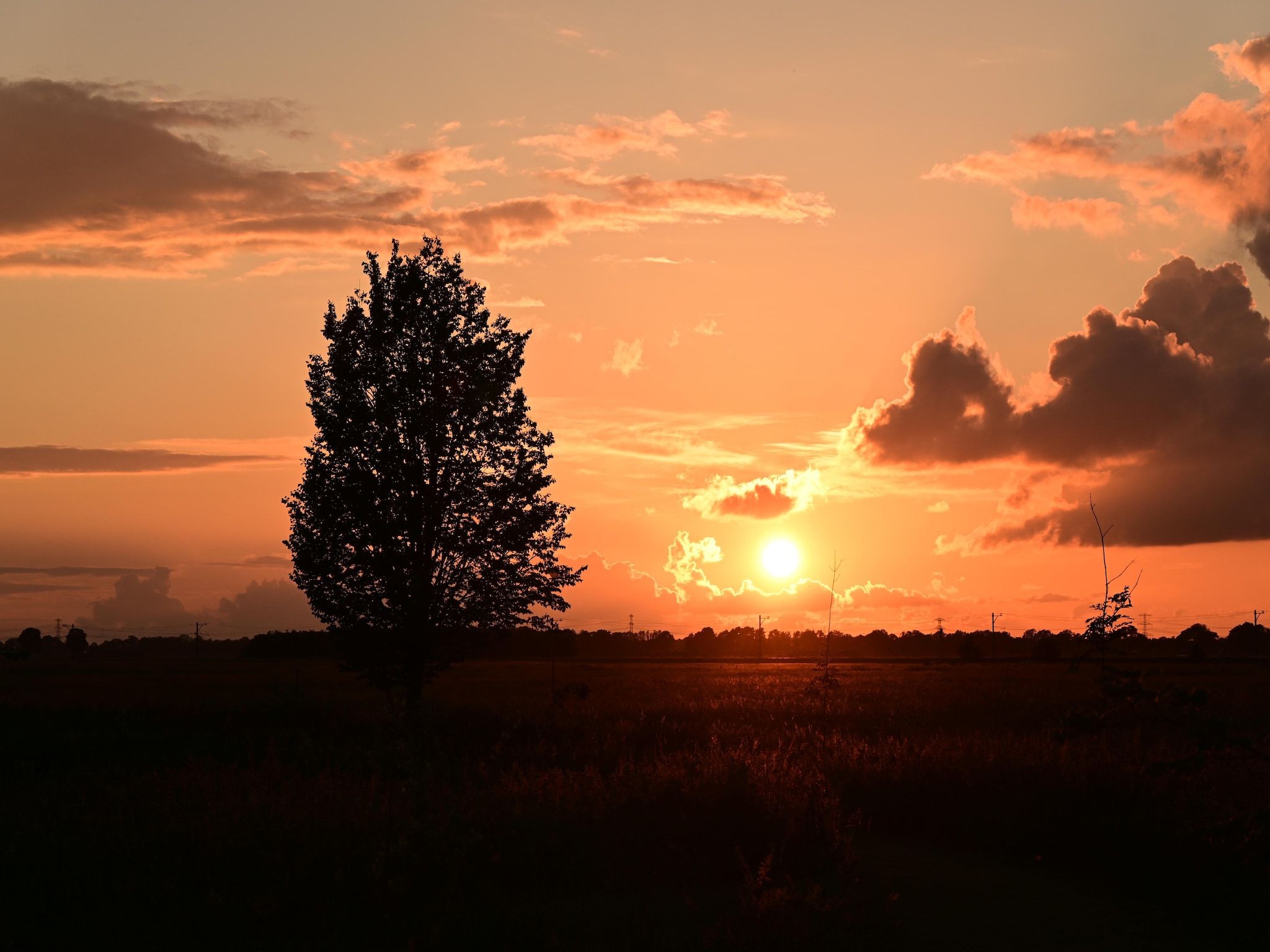 Tentlodge Partijs Wellness met sauna en prive-bad-2p in Dalerveen - Foto 30 van 33