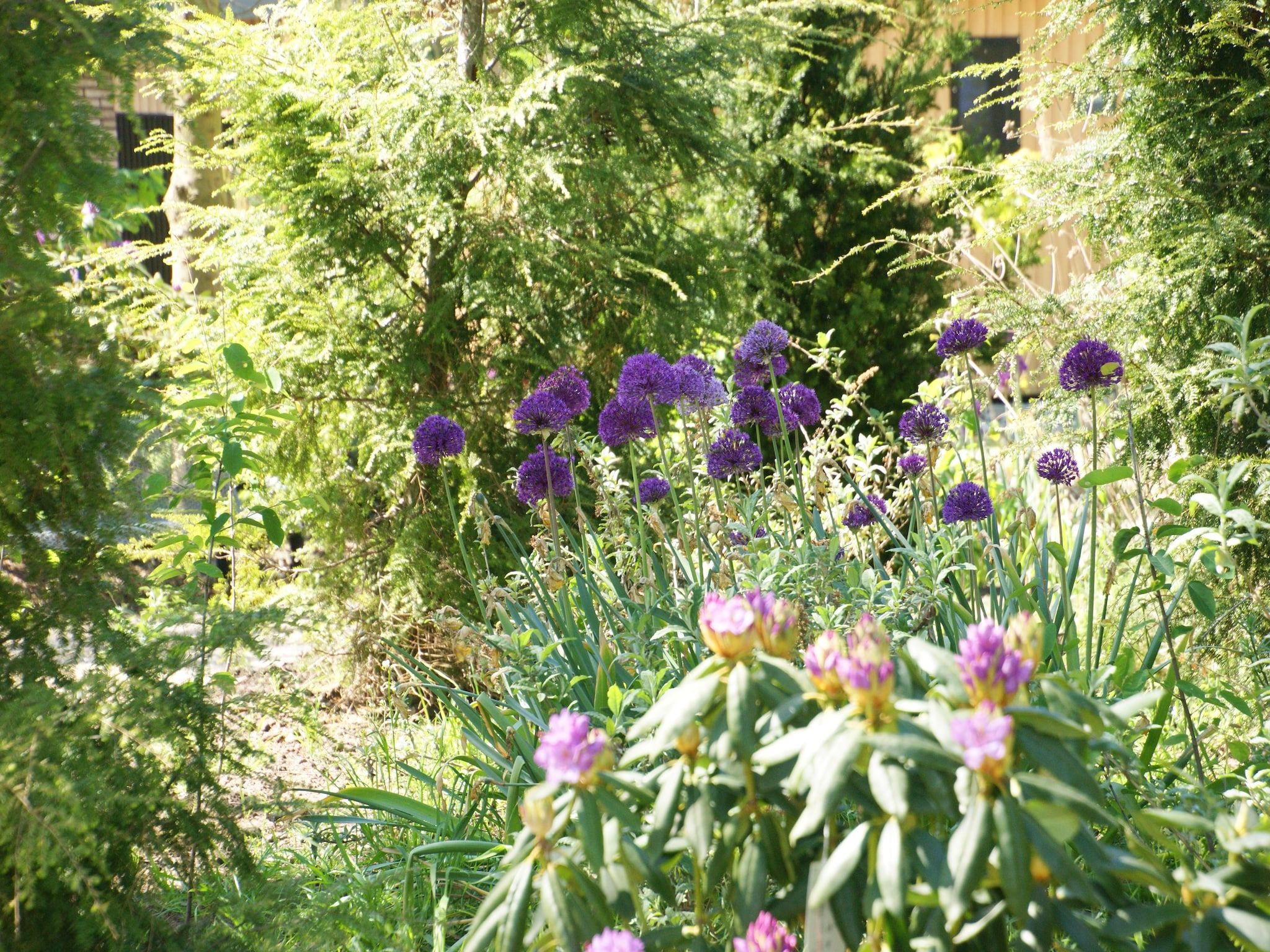 Tentlodge Partijs Wellness met sauna en prive-bad-2p in Dalerveen - Foto 32 van 33