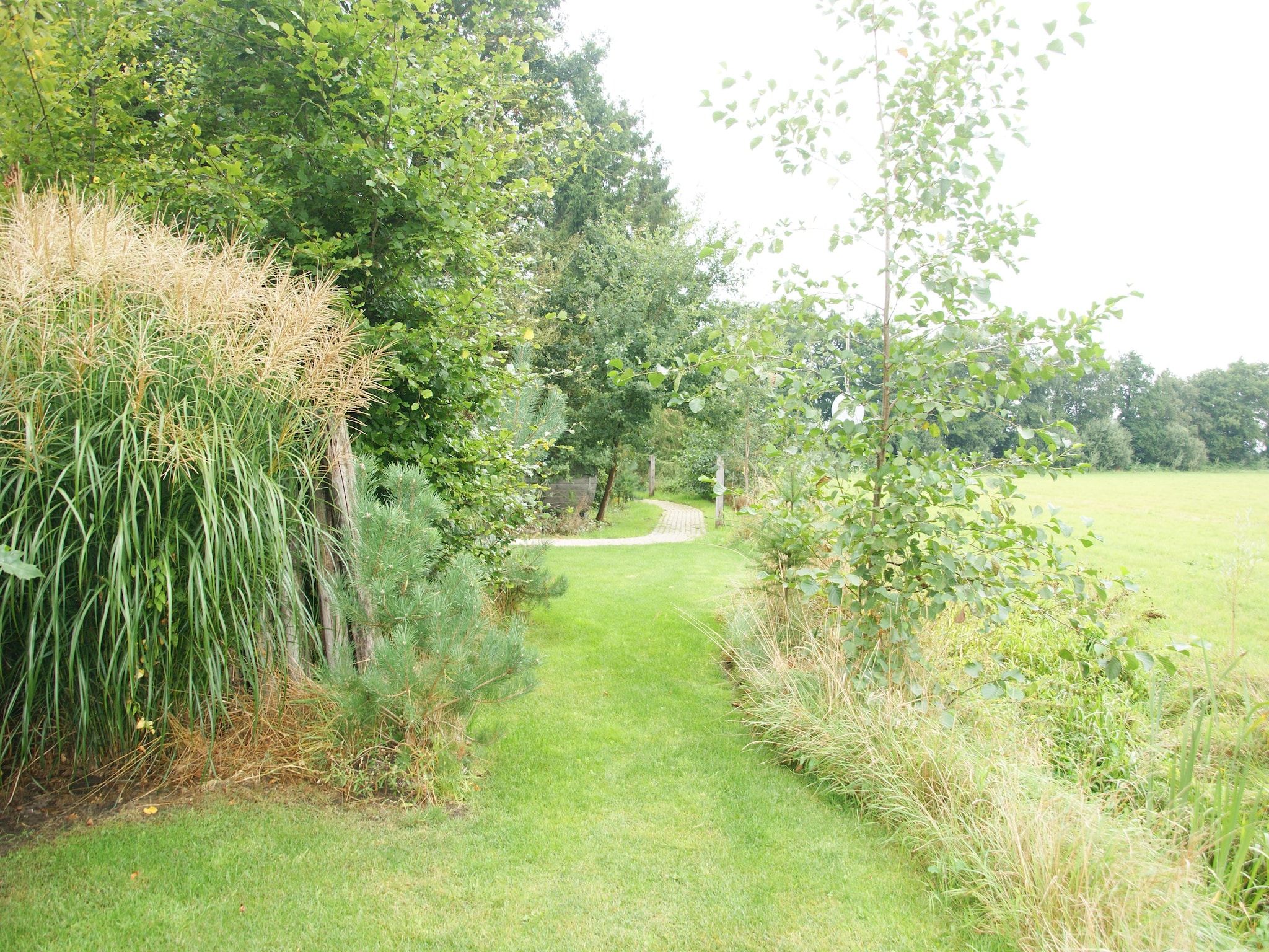 Tentlodge Partijs Wellness met sauna en prive-bad-2p in Dalerveen - Foto 27 van 33