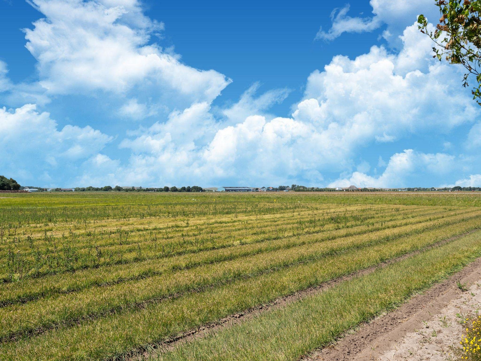De omgeving van Hazenborgh - Wagenboet in Callantsoog