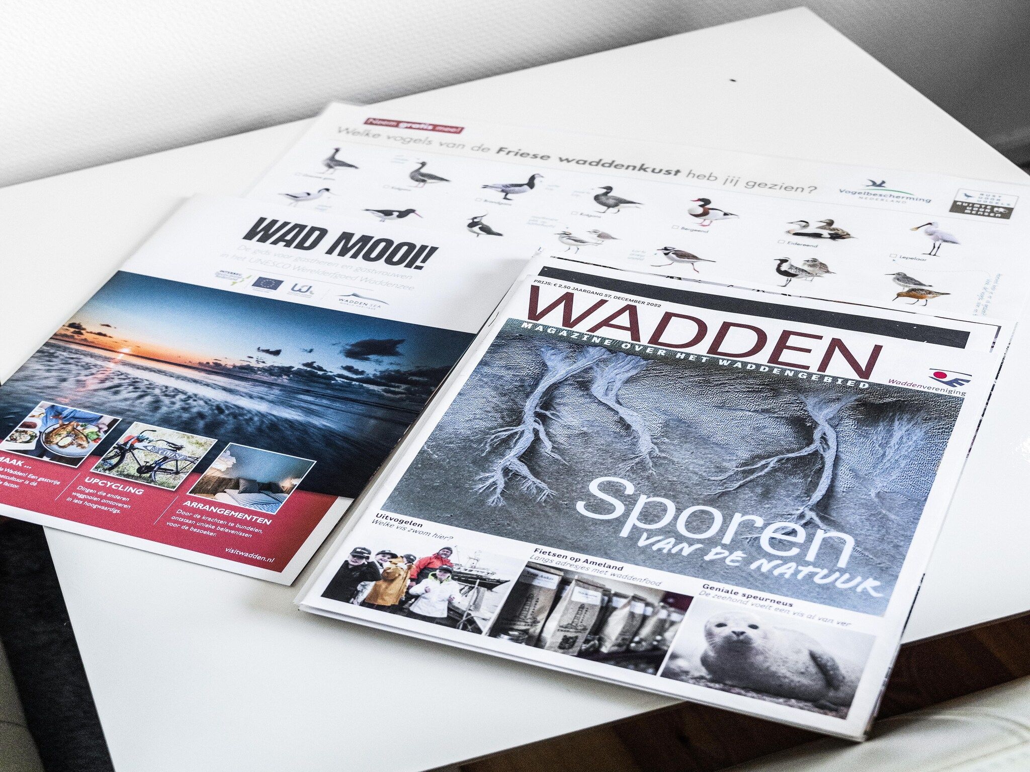 Sfeerbeeld van Wad’n Leven in Paesens