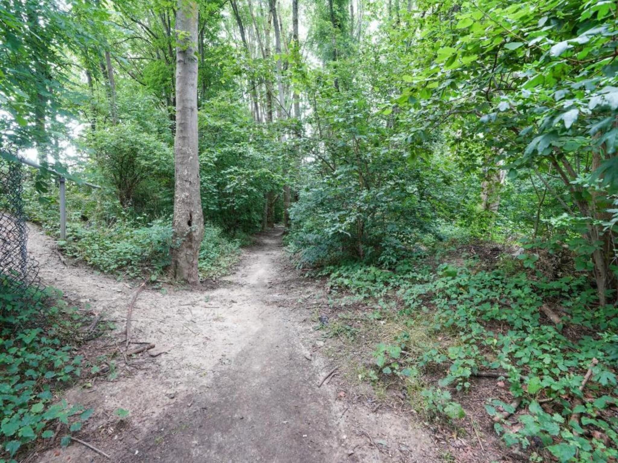 Wad’n Leven in Paesens - Foto 27 van 36