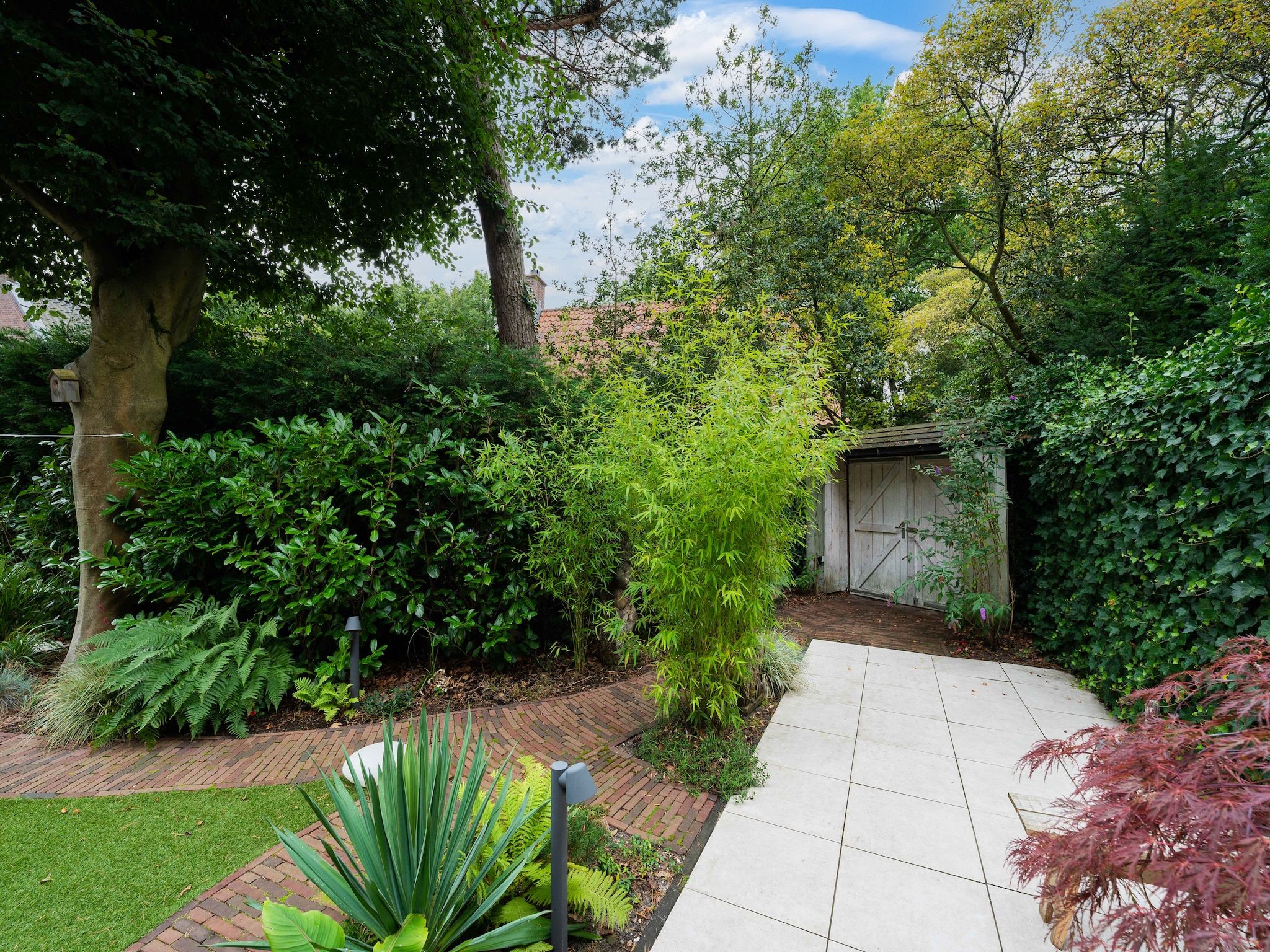 De tuin van De Klimroos in Bergen