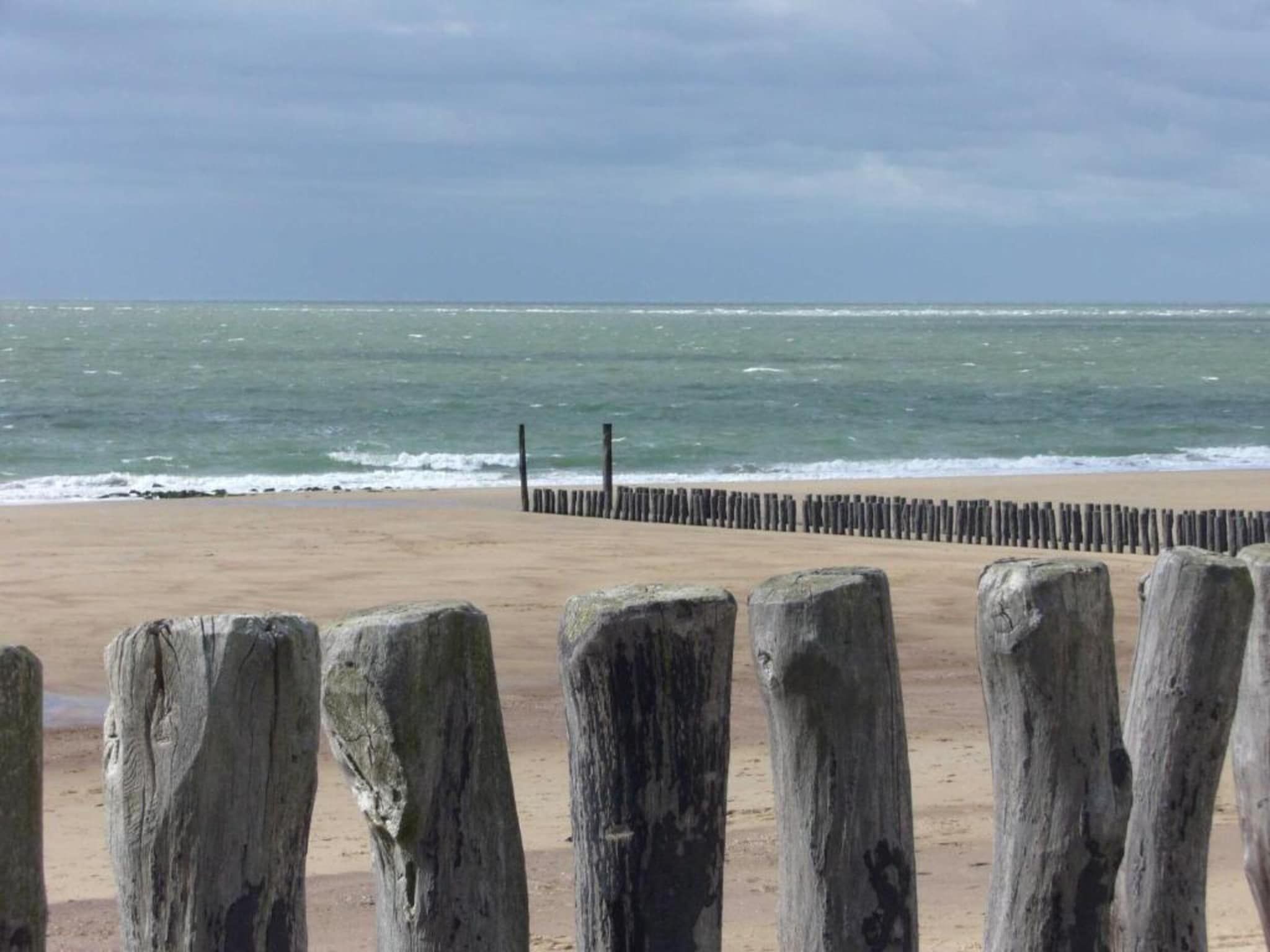 Tinyhouse La Mouette in Zoutelande - Foto 30 van 40