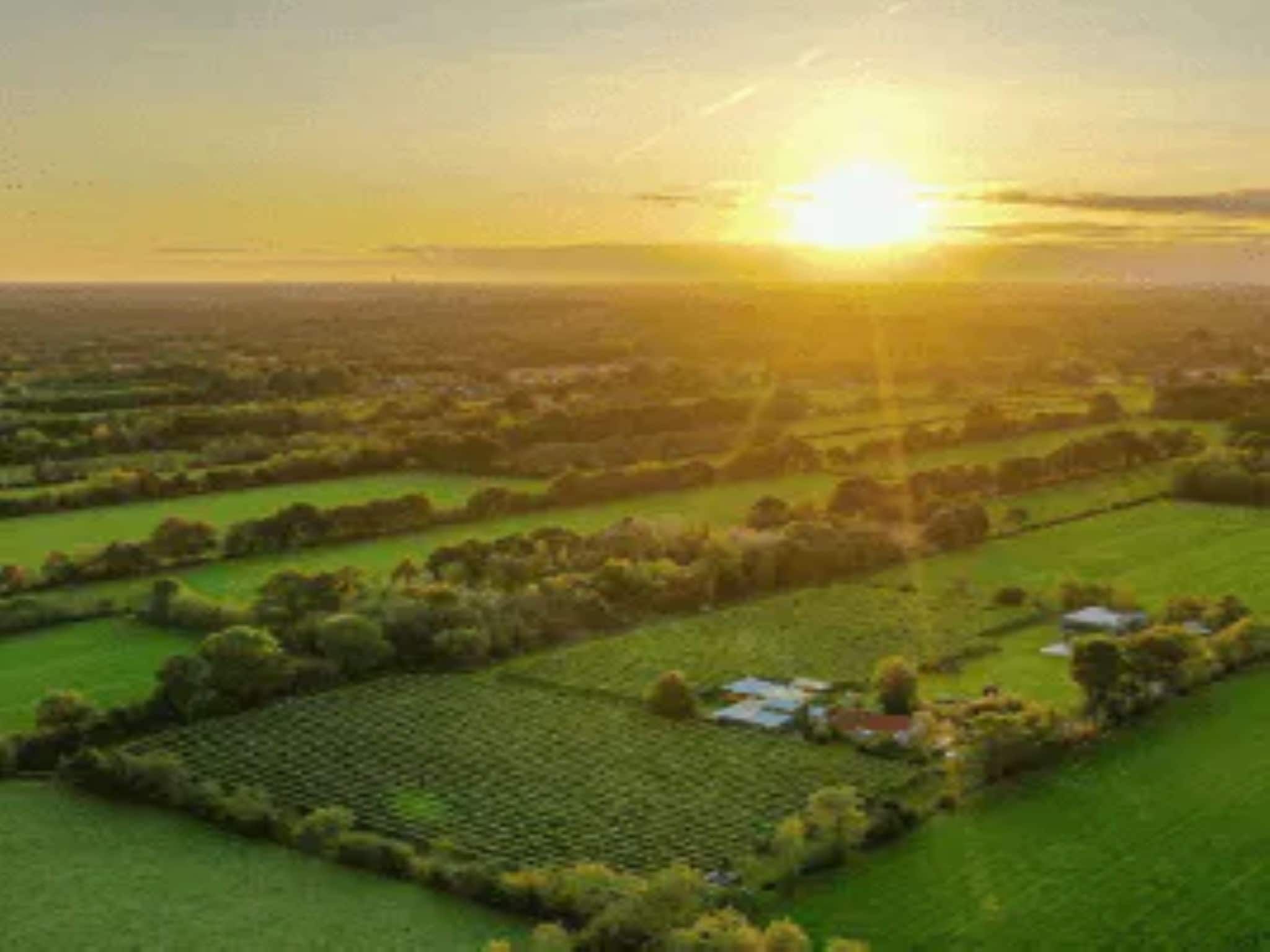 De omgeving van Glamour tent 'Kreas'" in Twijzel