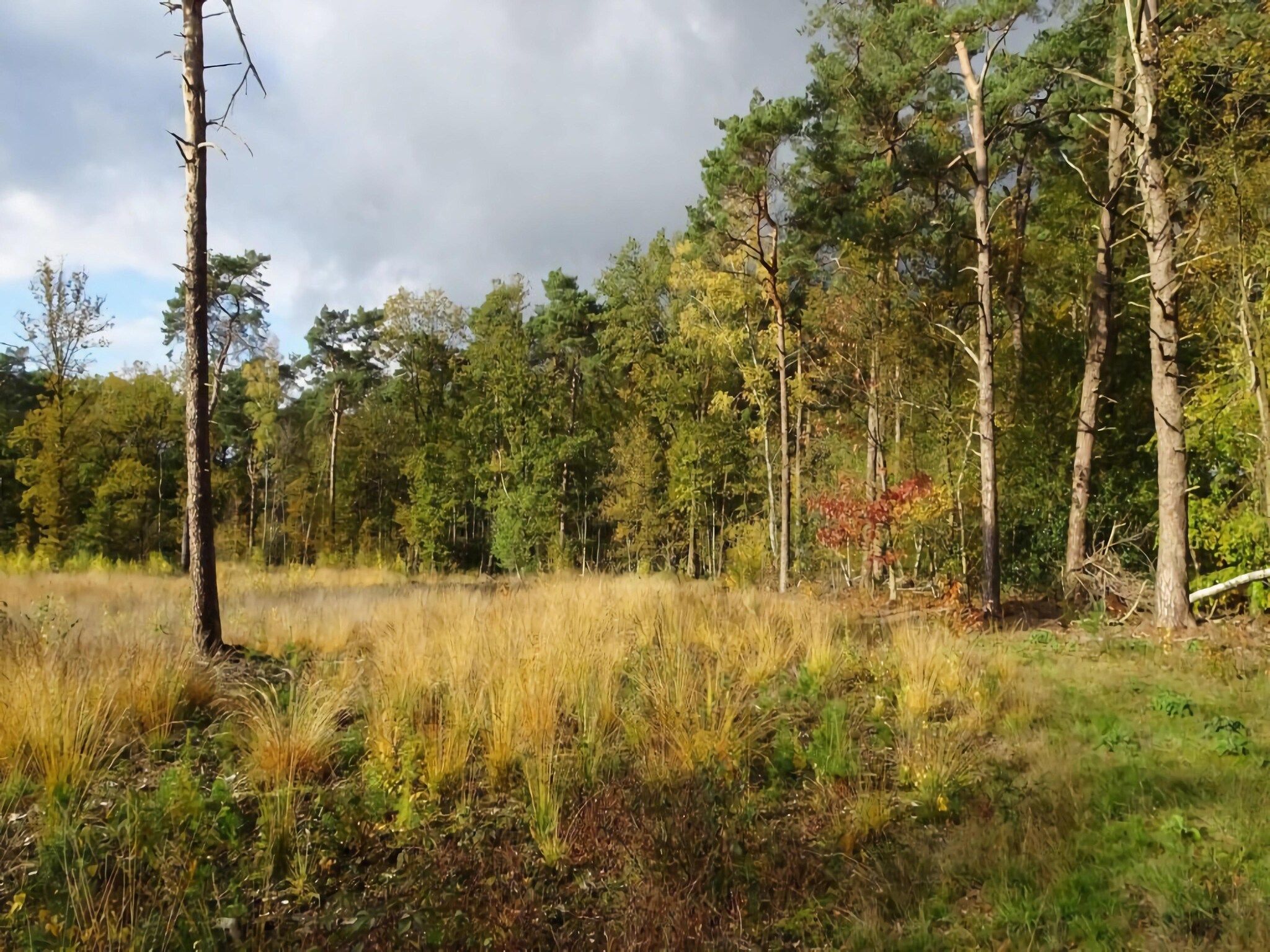 De omgeving van Wellnes suite in Zelhem