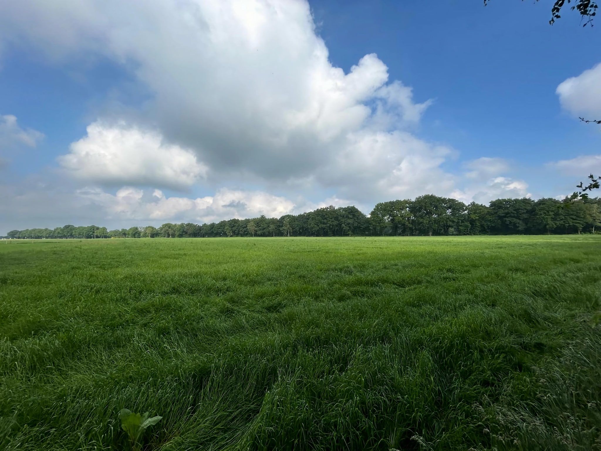 De omgeving van Wellnes suite in Zelhem