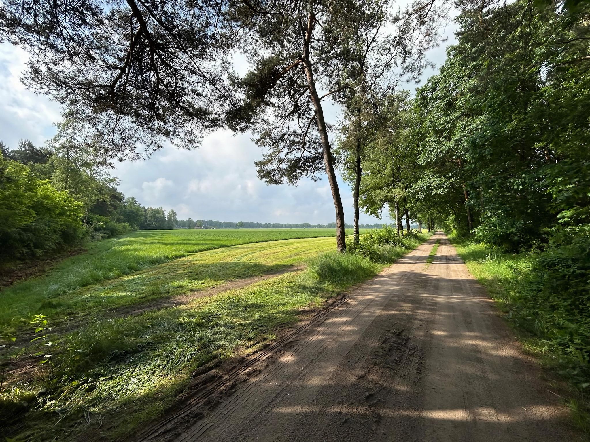 De omgeving van Wellnes suite in Zelhem