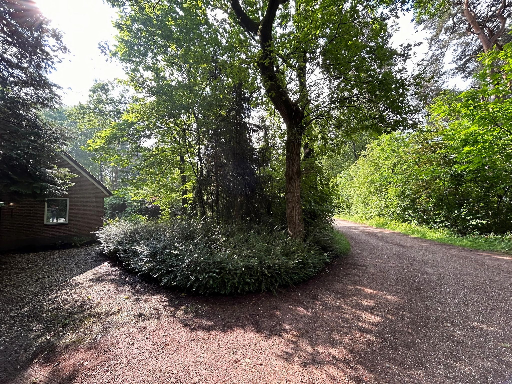 De omgeving van Duo Suite wellness in Zelhem