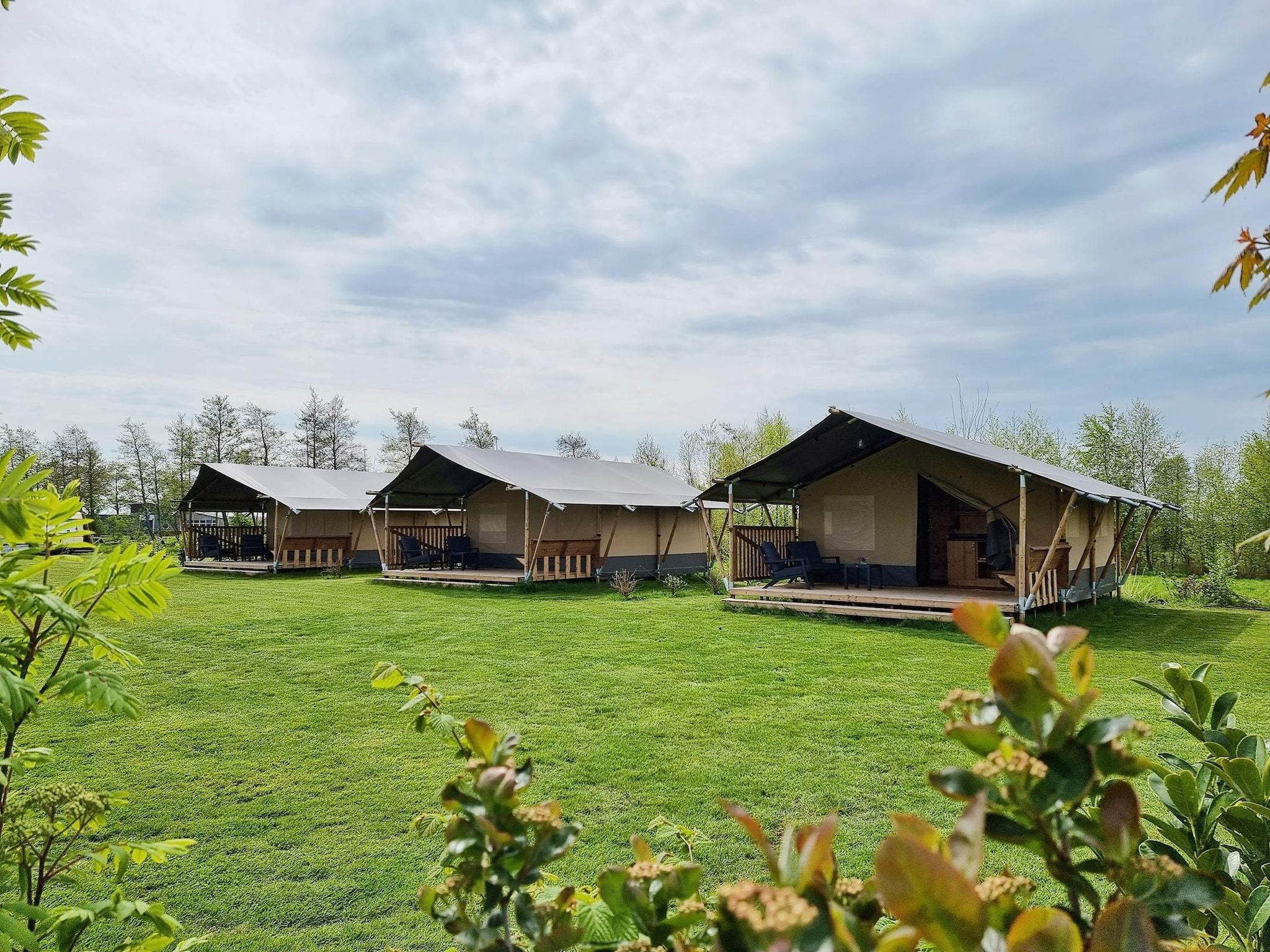 De tuin van Luxe glamping met badkamer 1 in De Veenhoop