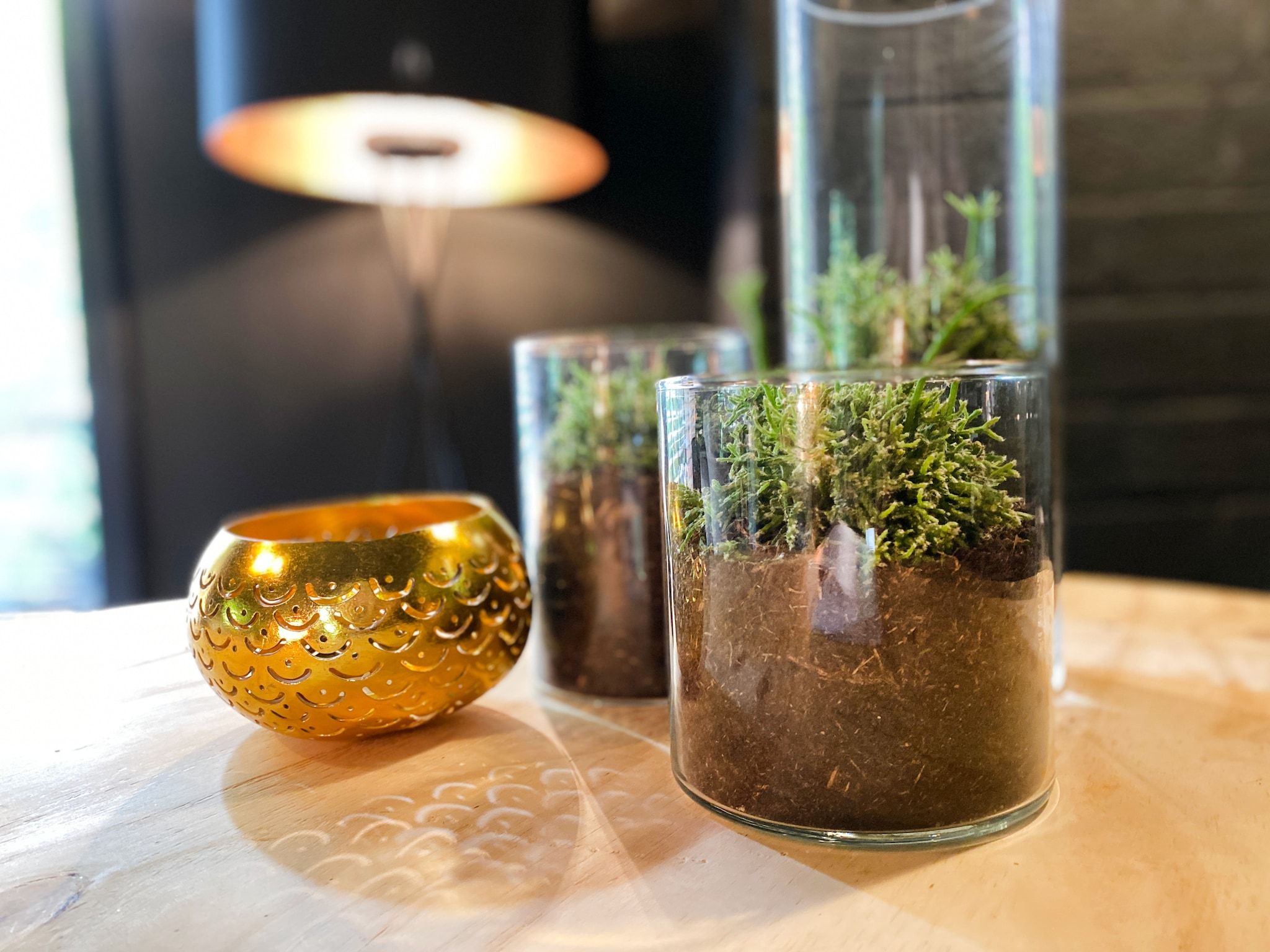 Sfeerbeeld van Dutch Cabin Houses C65 in Rheezerveen