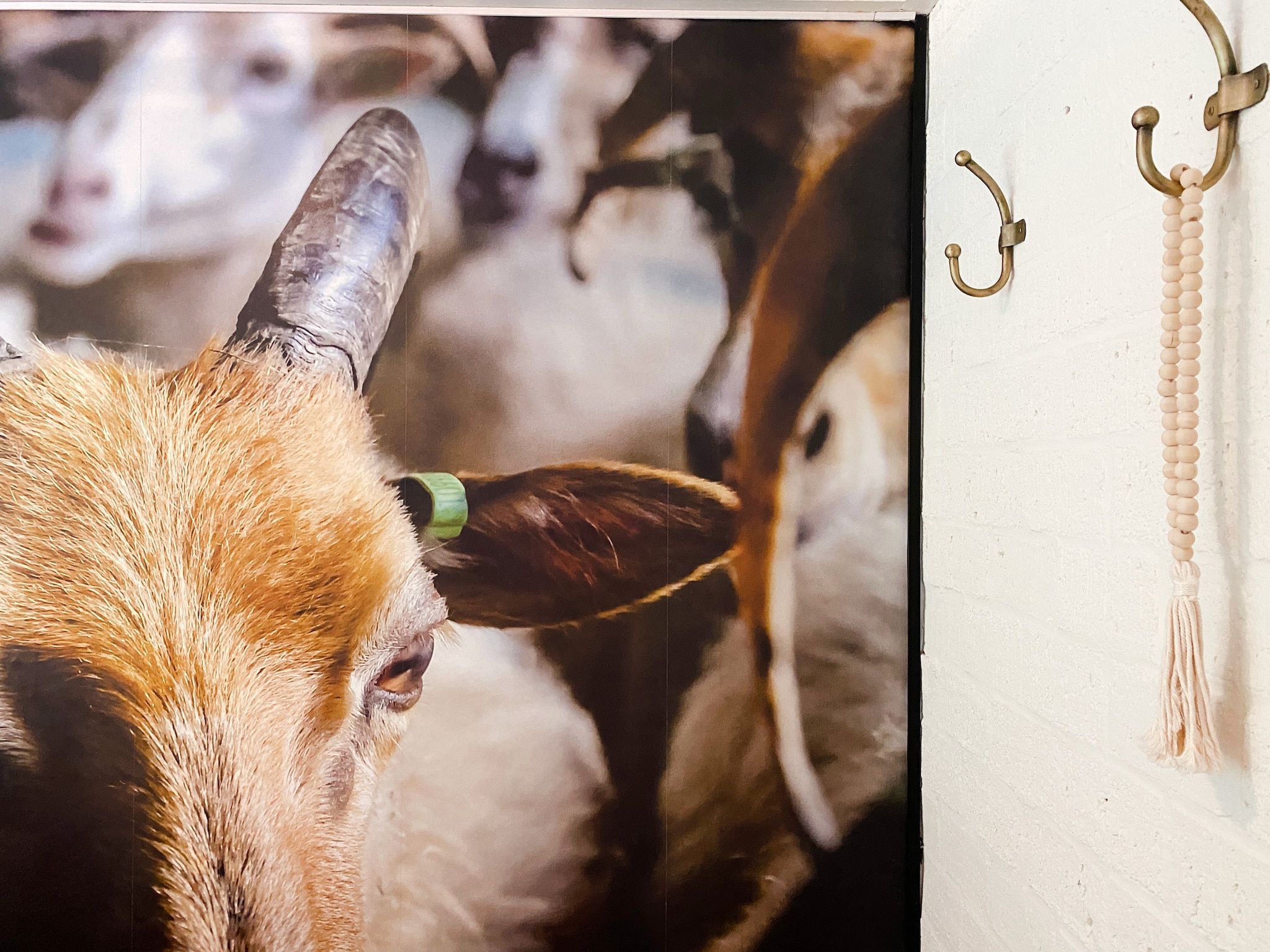 Sfeerbeeld van Dutch Cabin Houses C66 in Rheezerveen