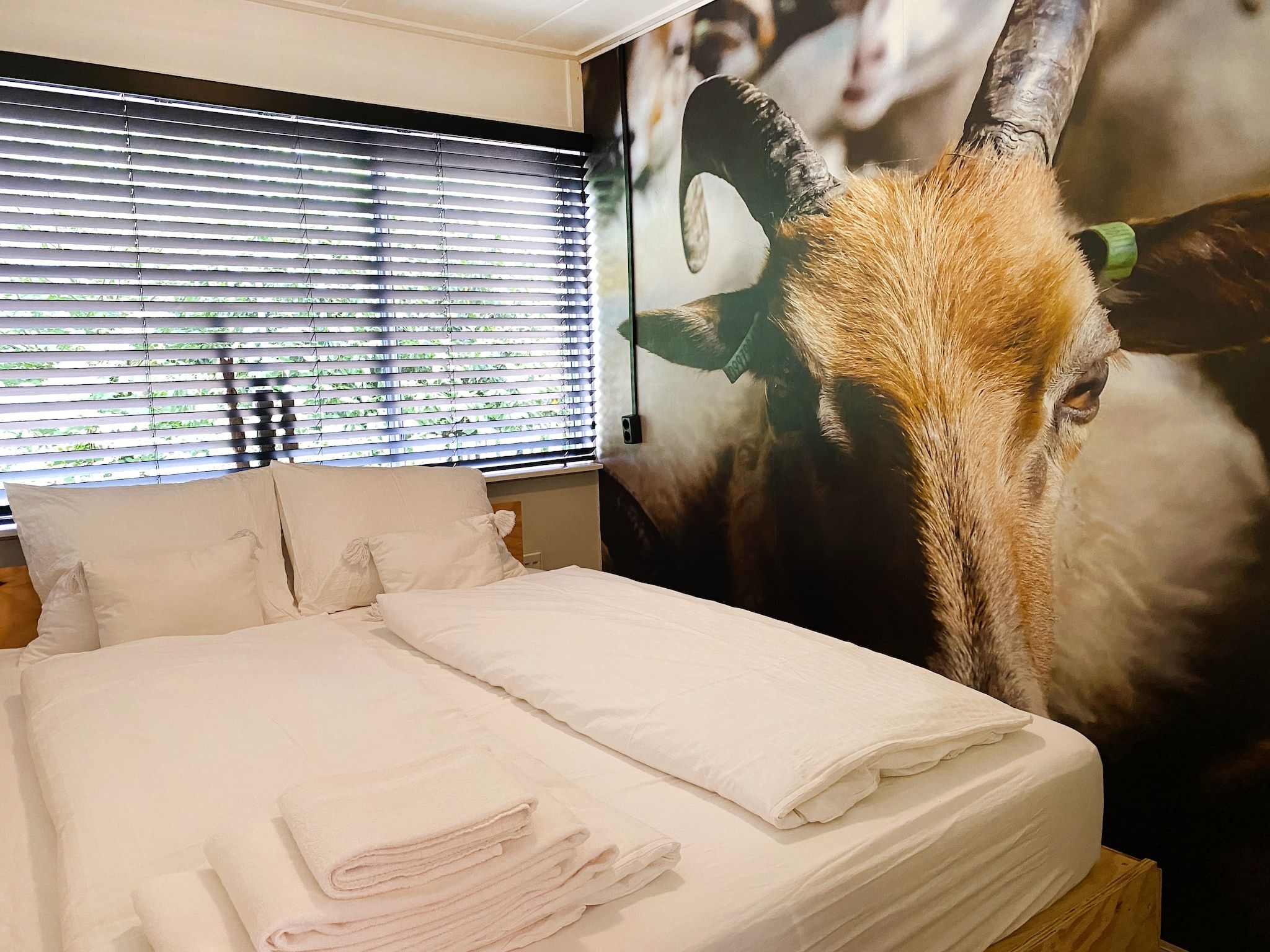 Een slaapkamer van Dutch Cabin Houses C66 in Rheezerveen